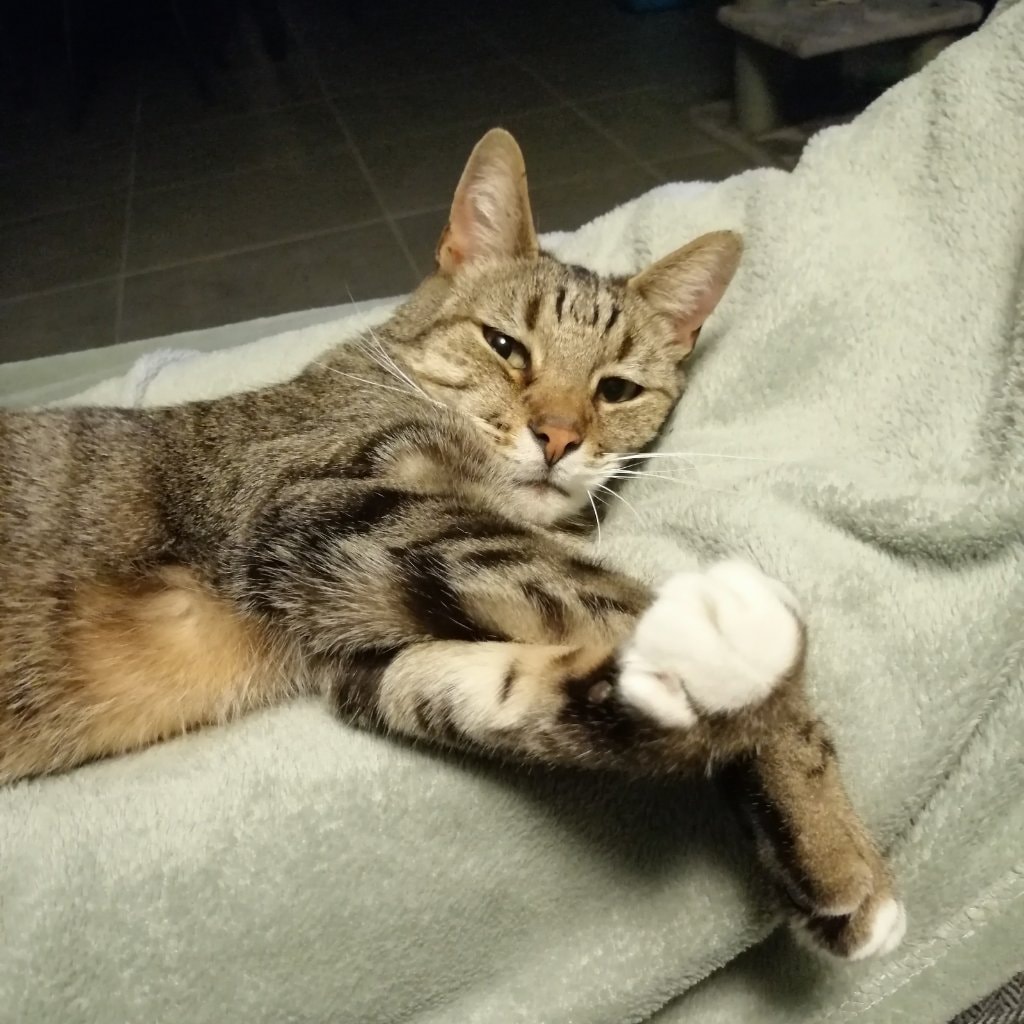 Beertje/ overleden op 27/05/24