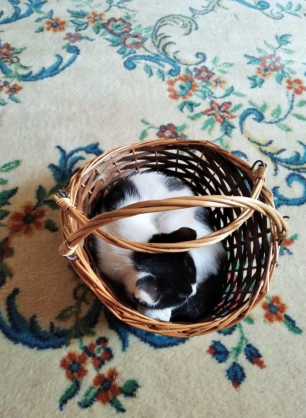 image-11