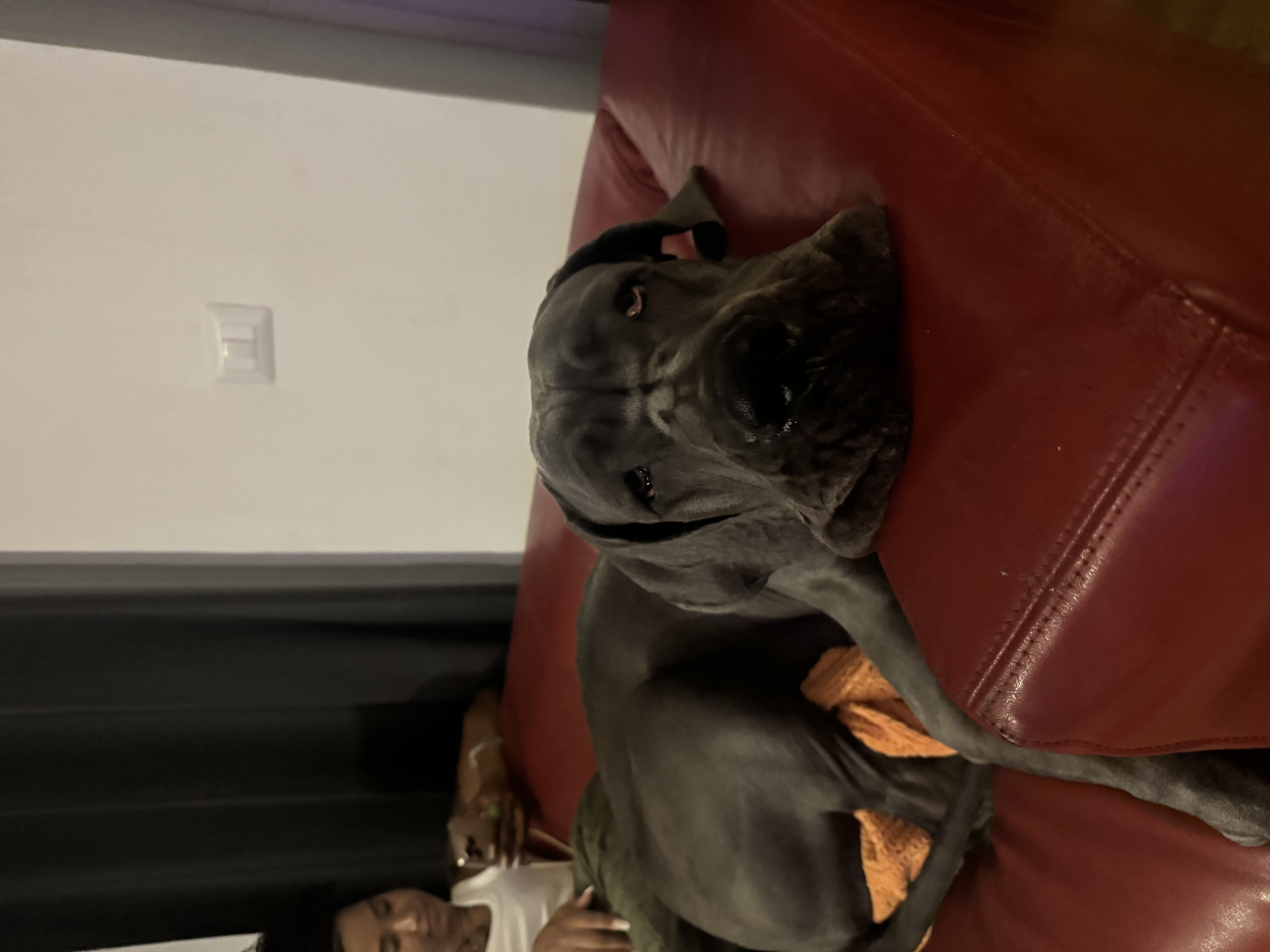 image-20
