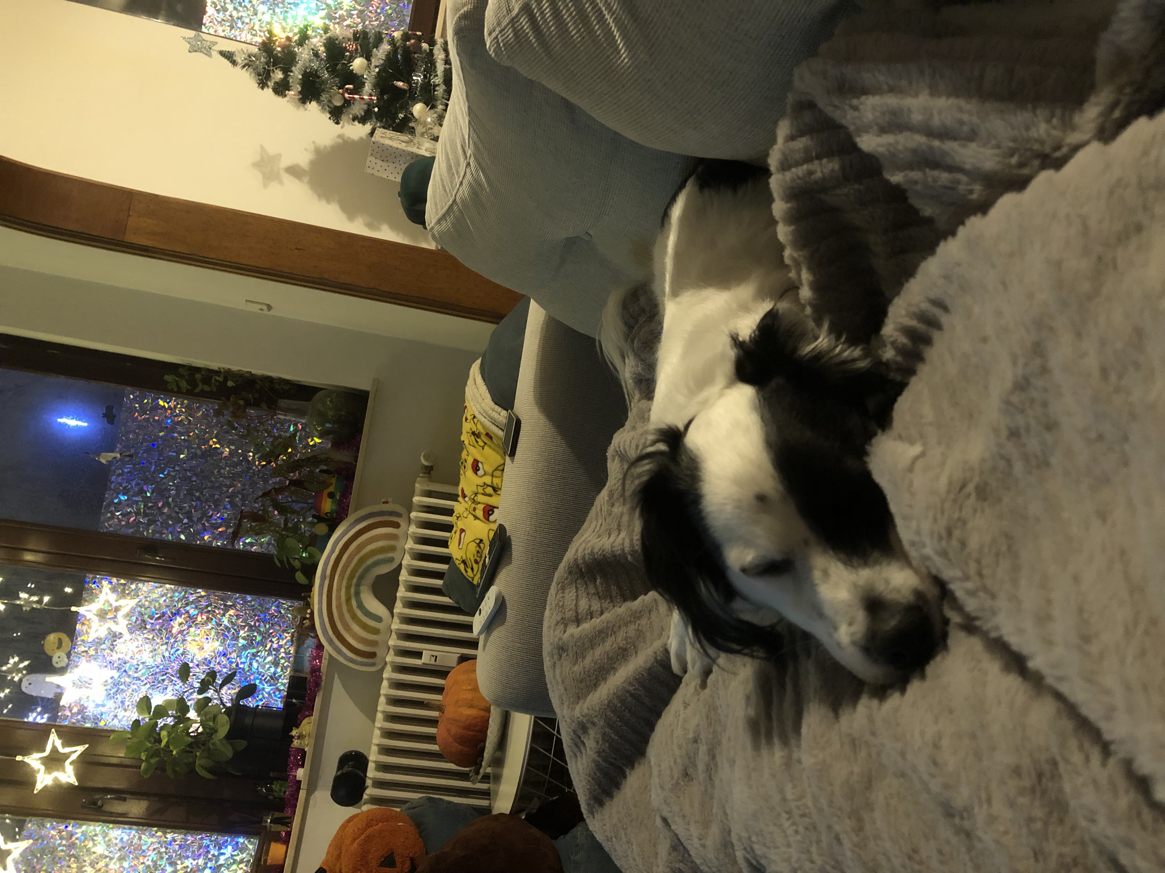 image-9