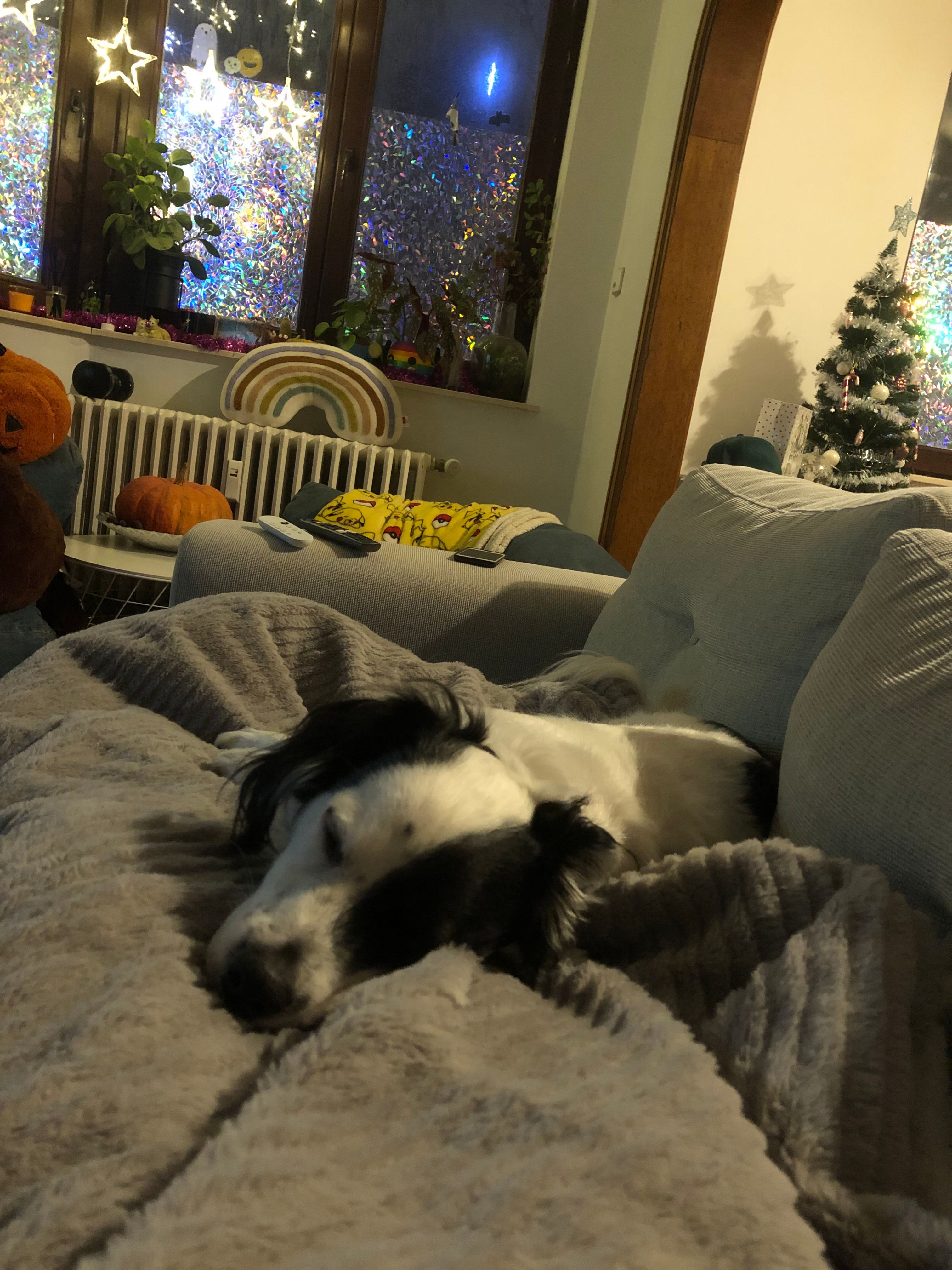 image-9