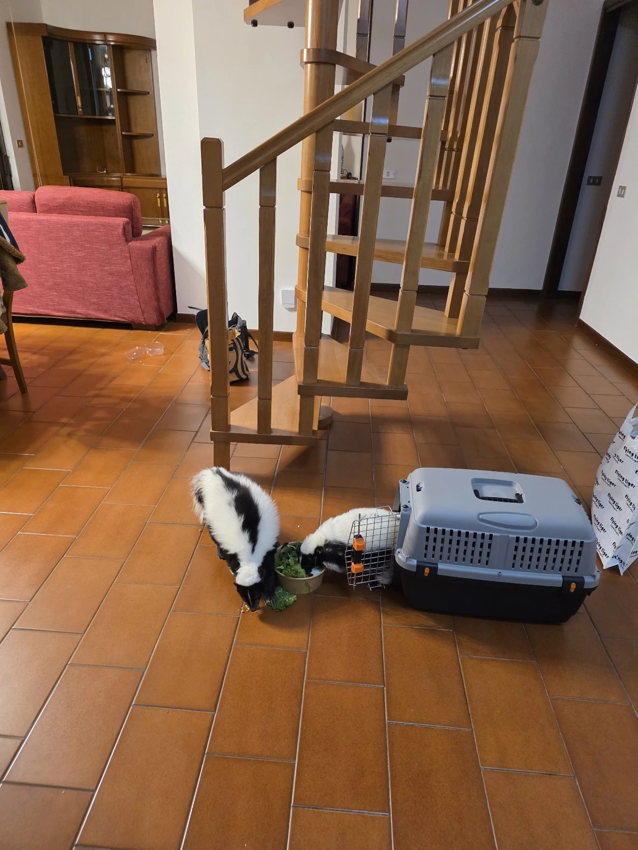 image-13