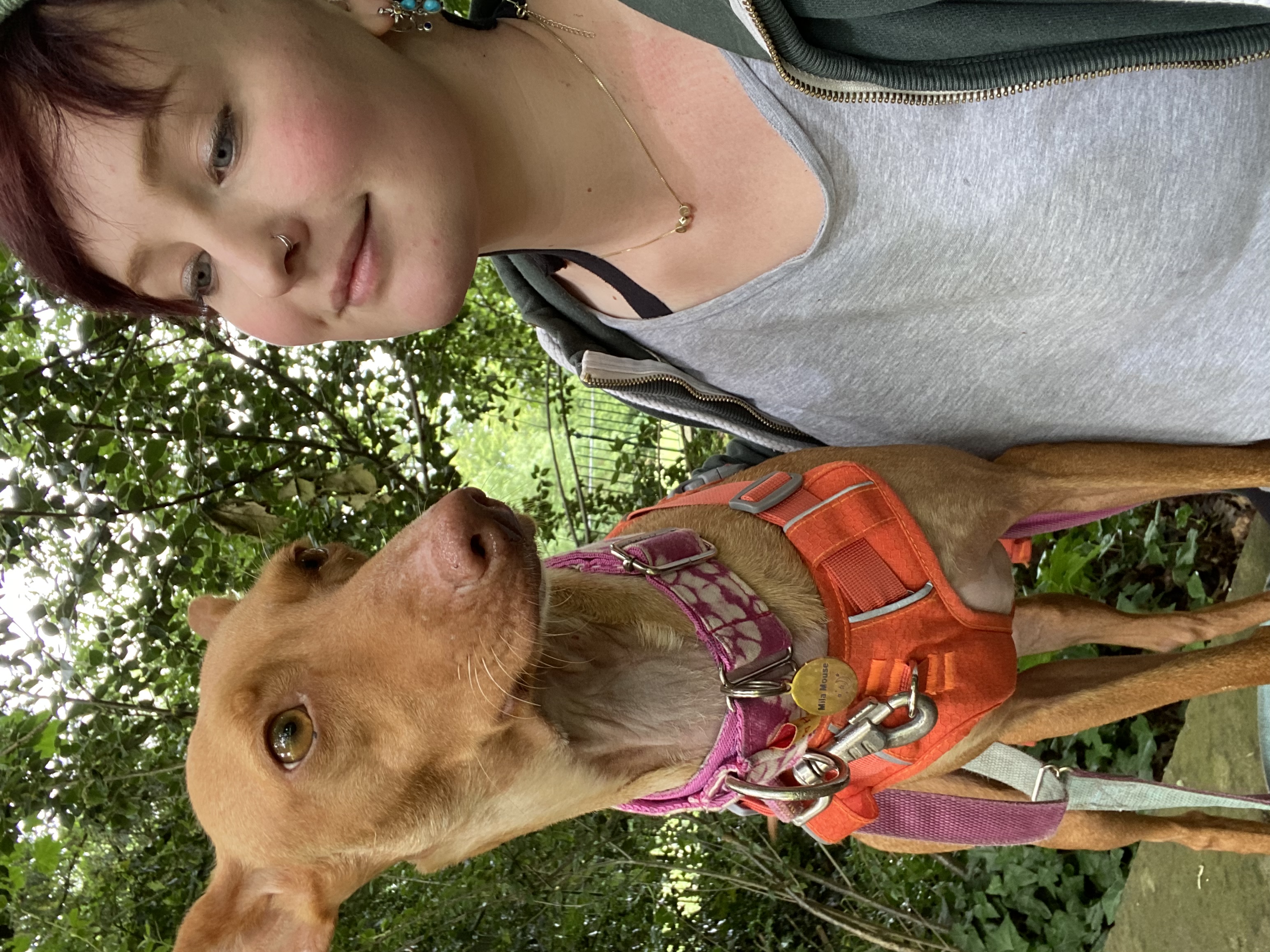 image-14
