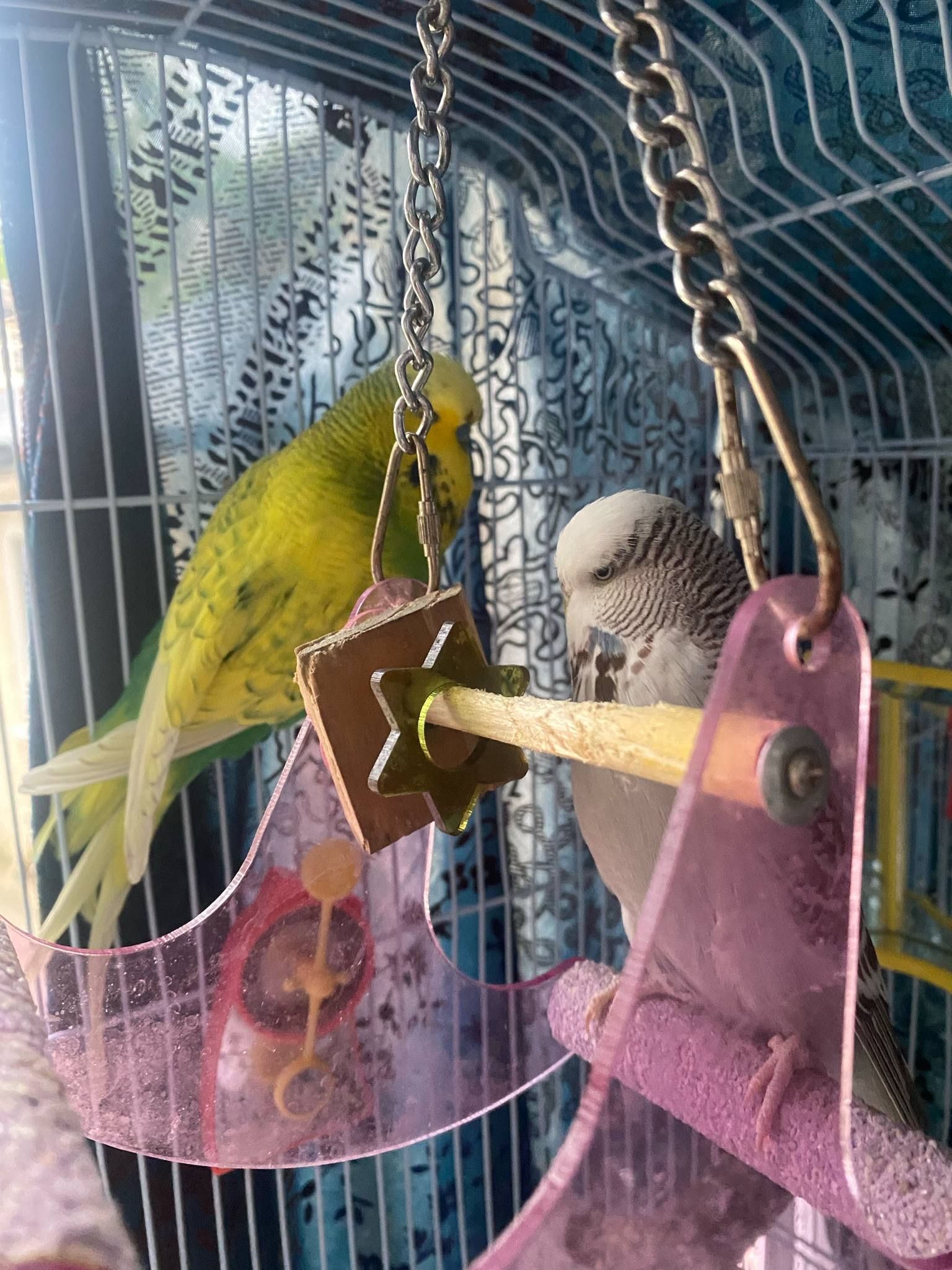 image-9