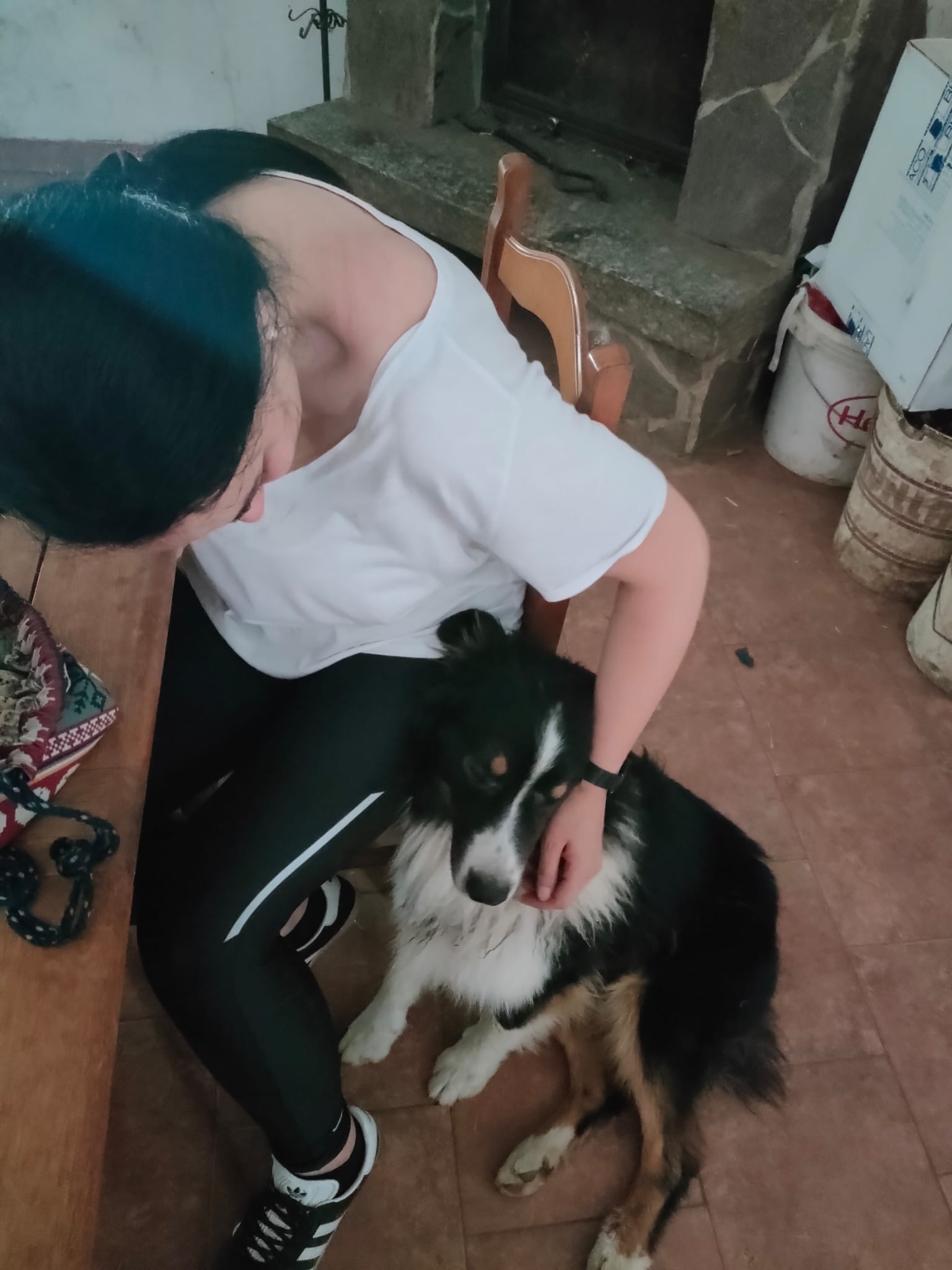image-7