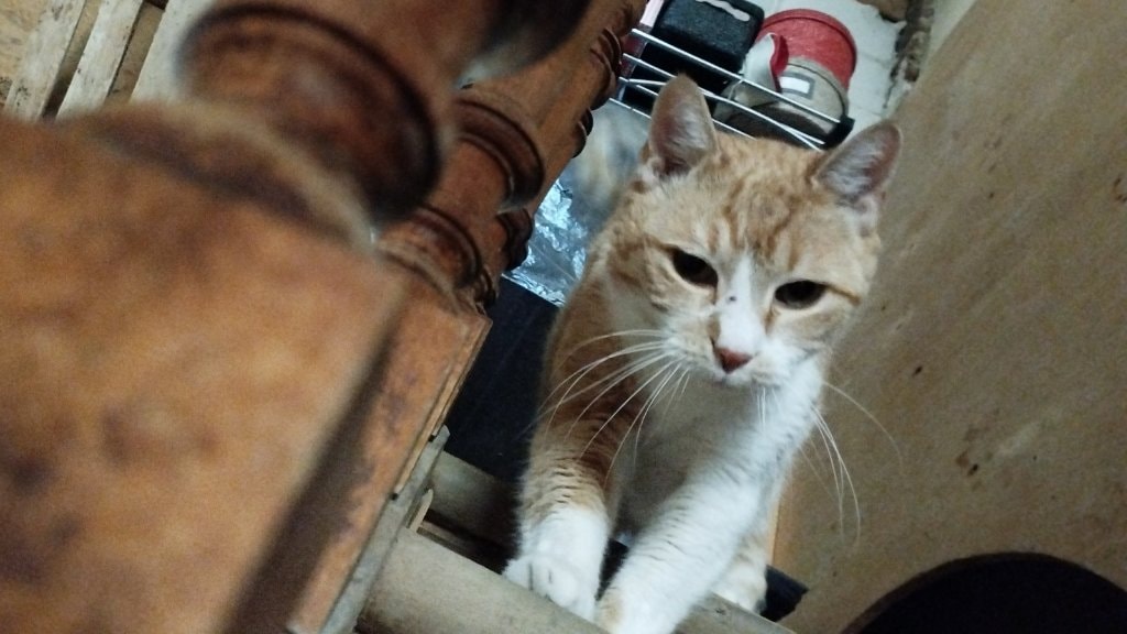 image-6