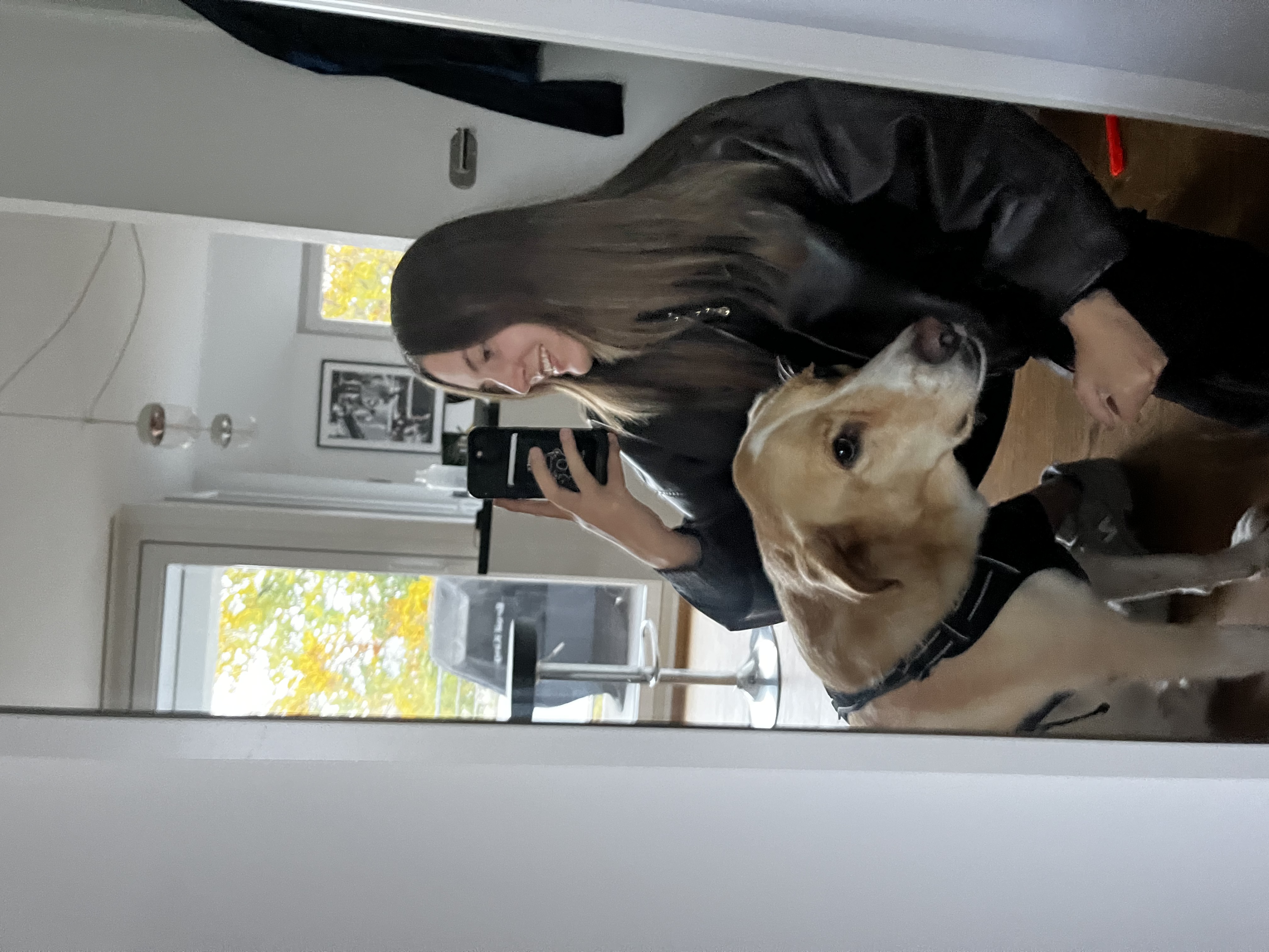 image-18