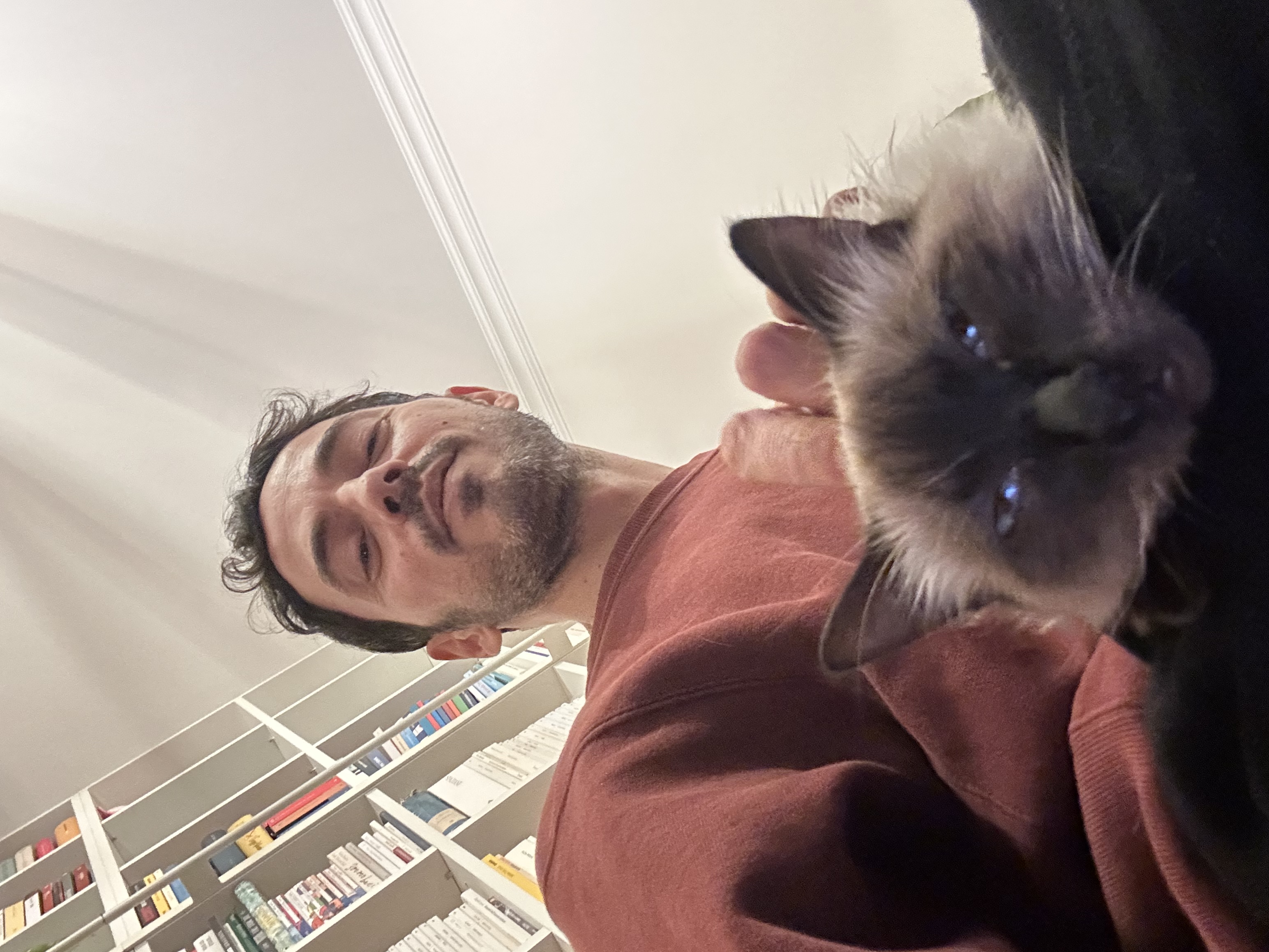 image-7