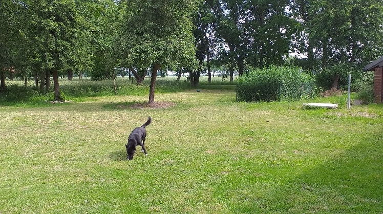 image-17