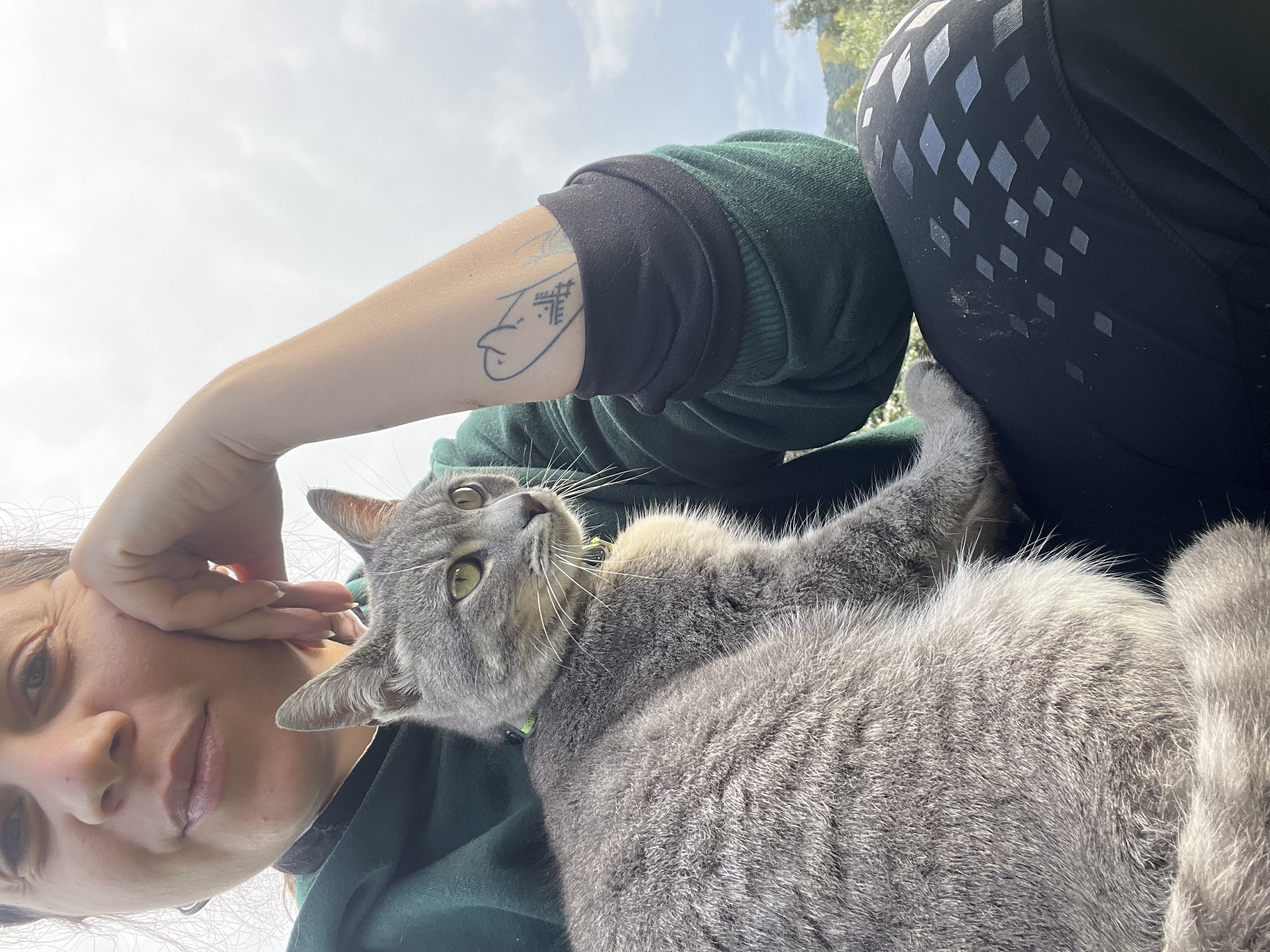 image-2