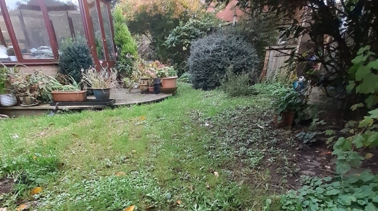 image-23