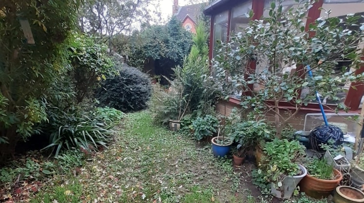 image-24