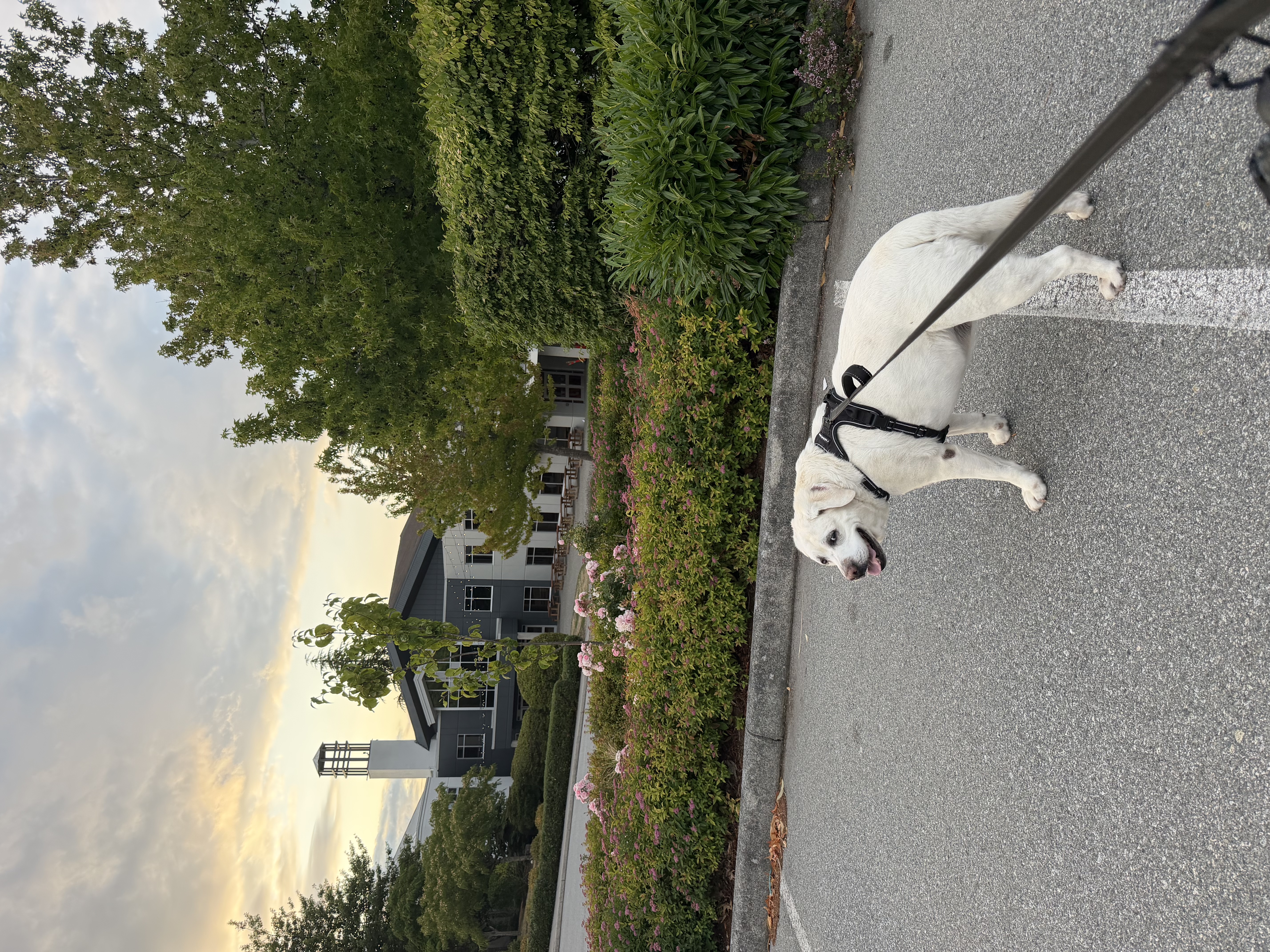 image-25