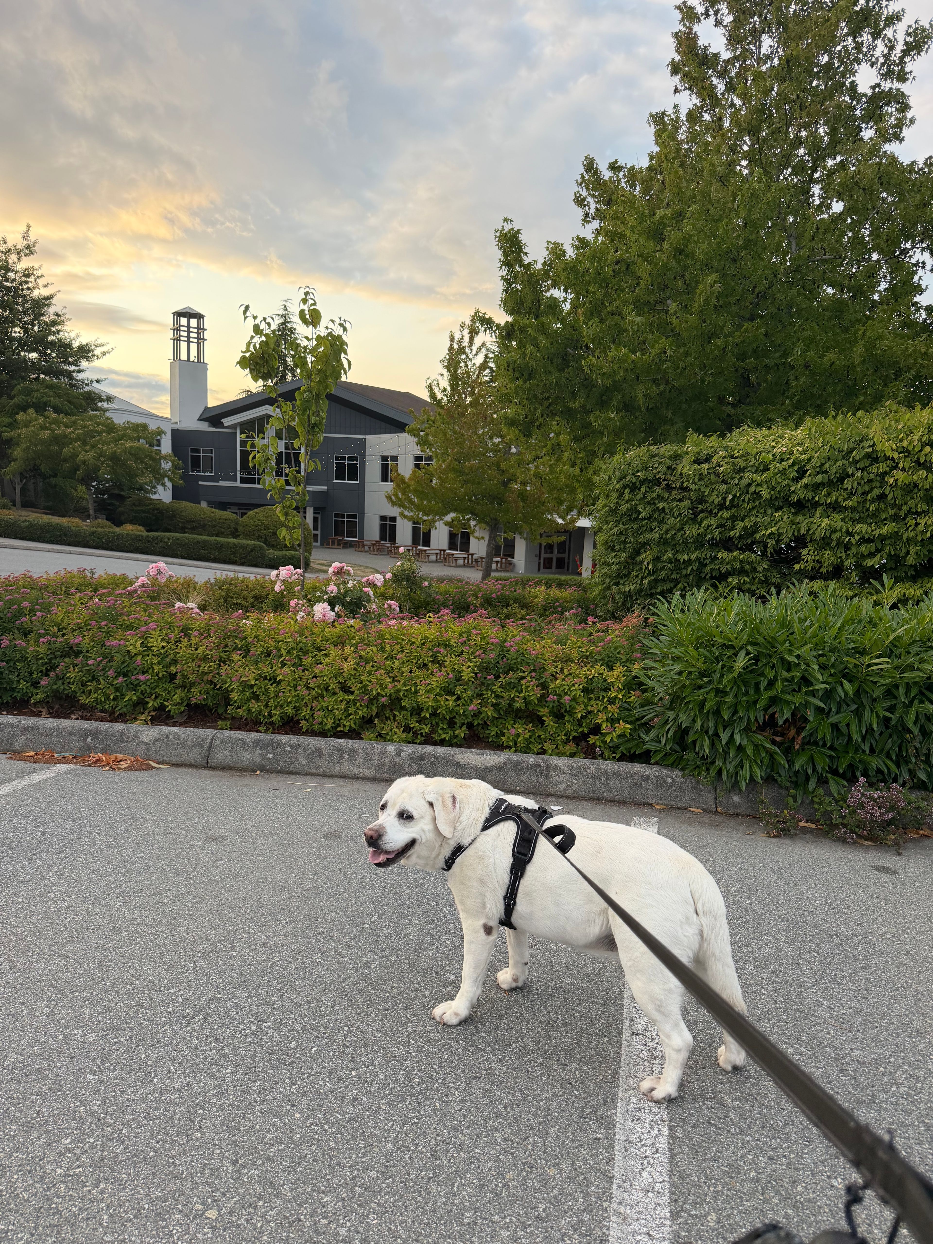 image-25