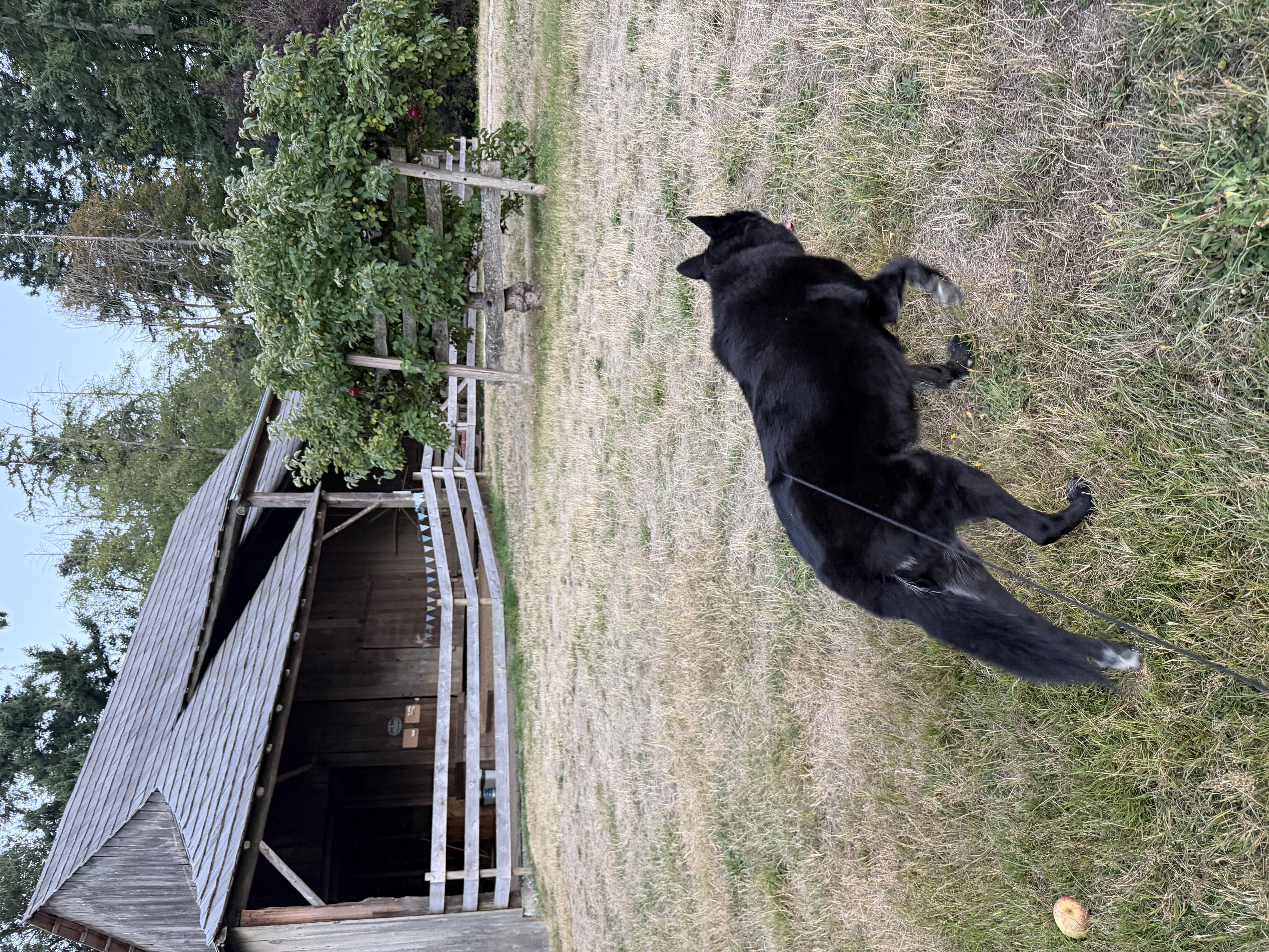 image-33