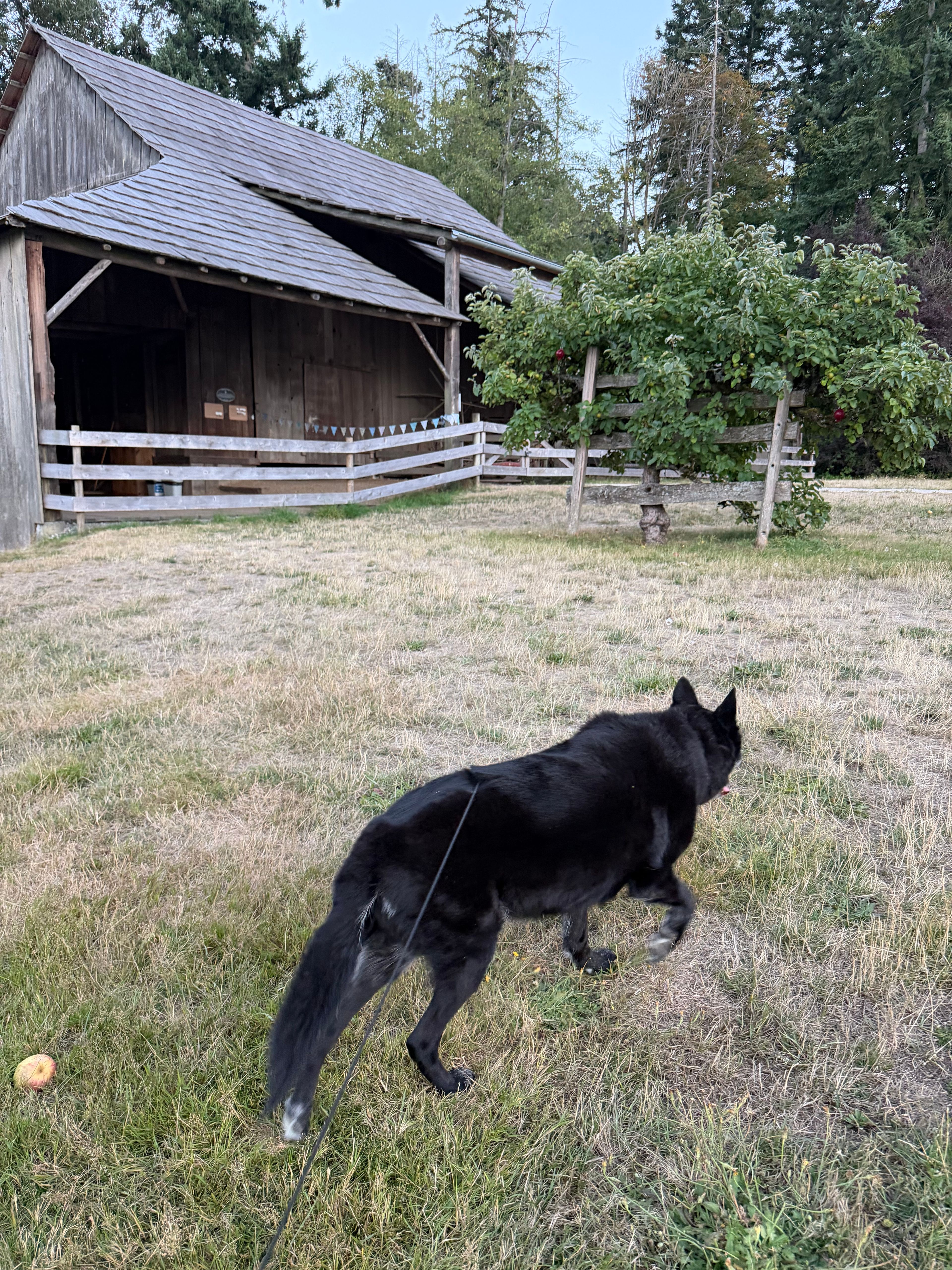 image-33