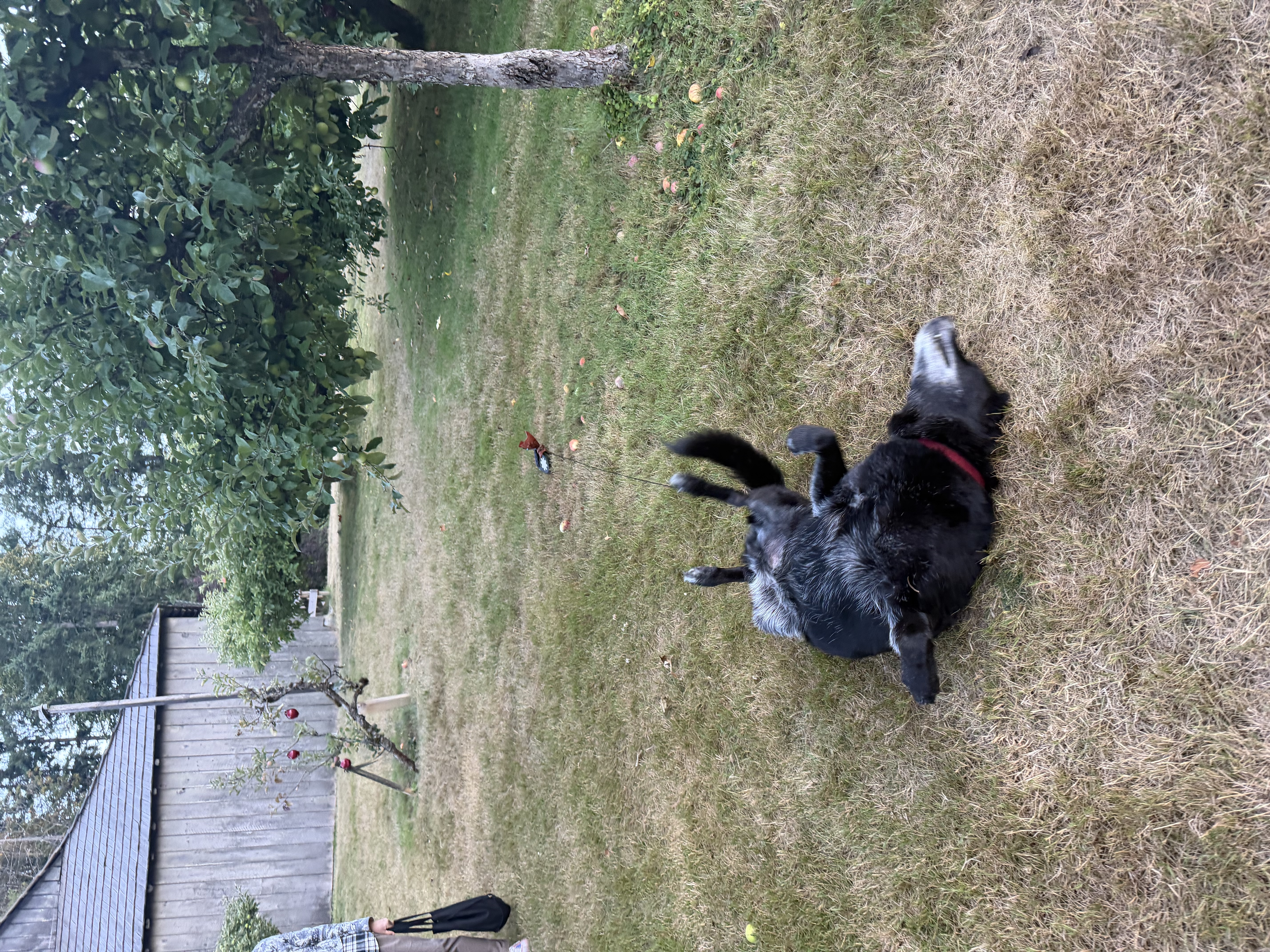 image-34