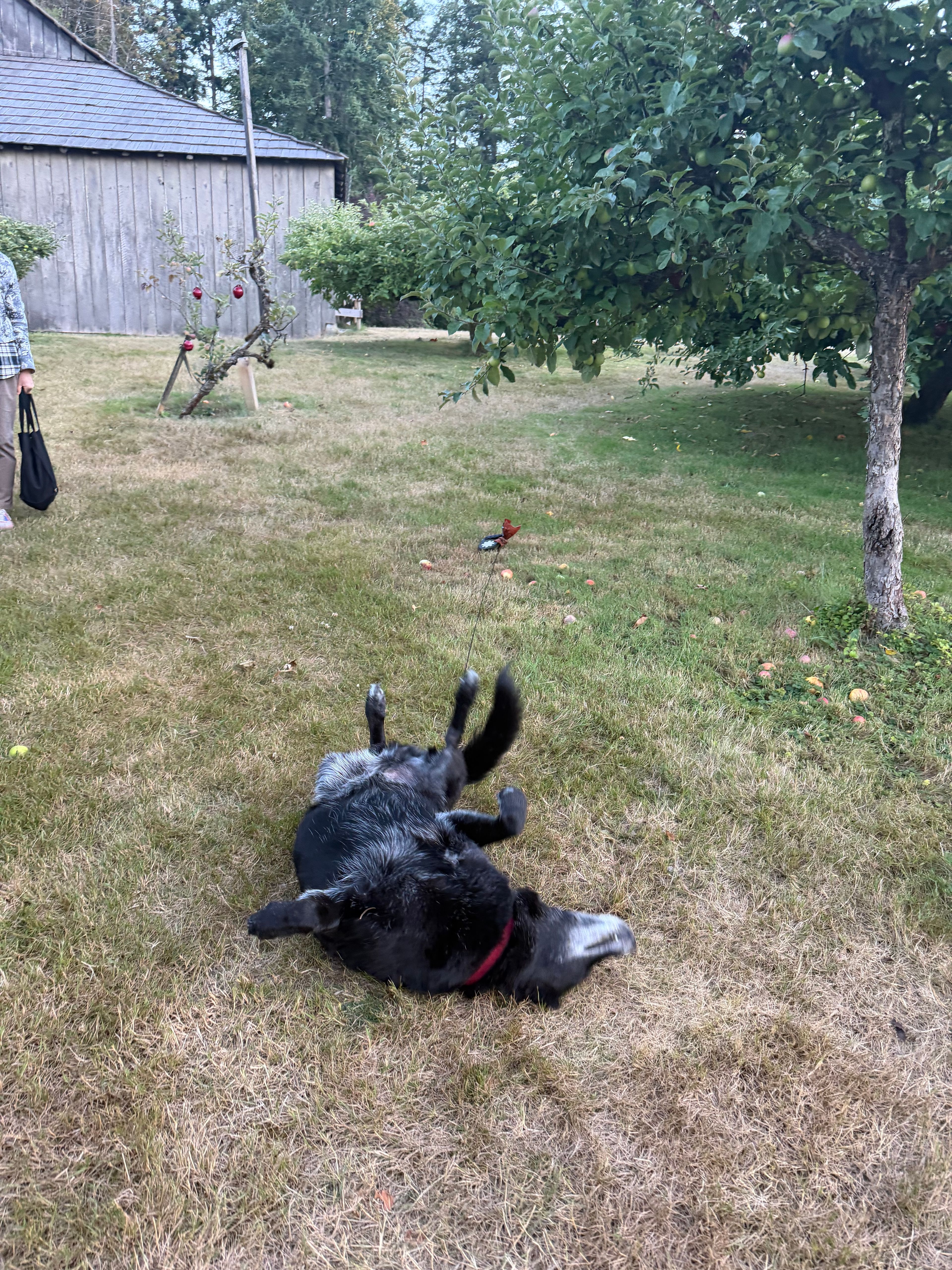 image-34