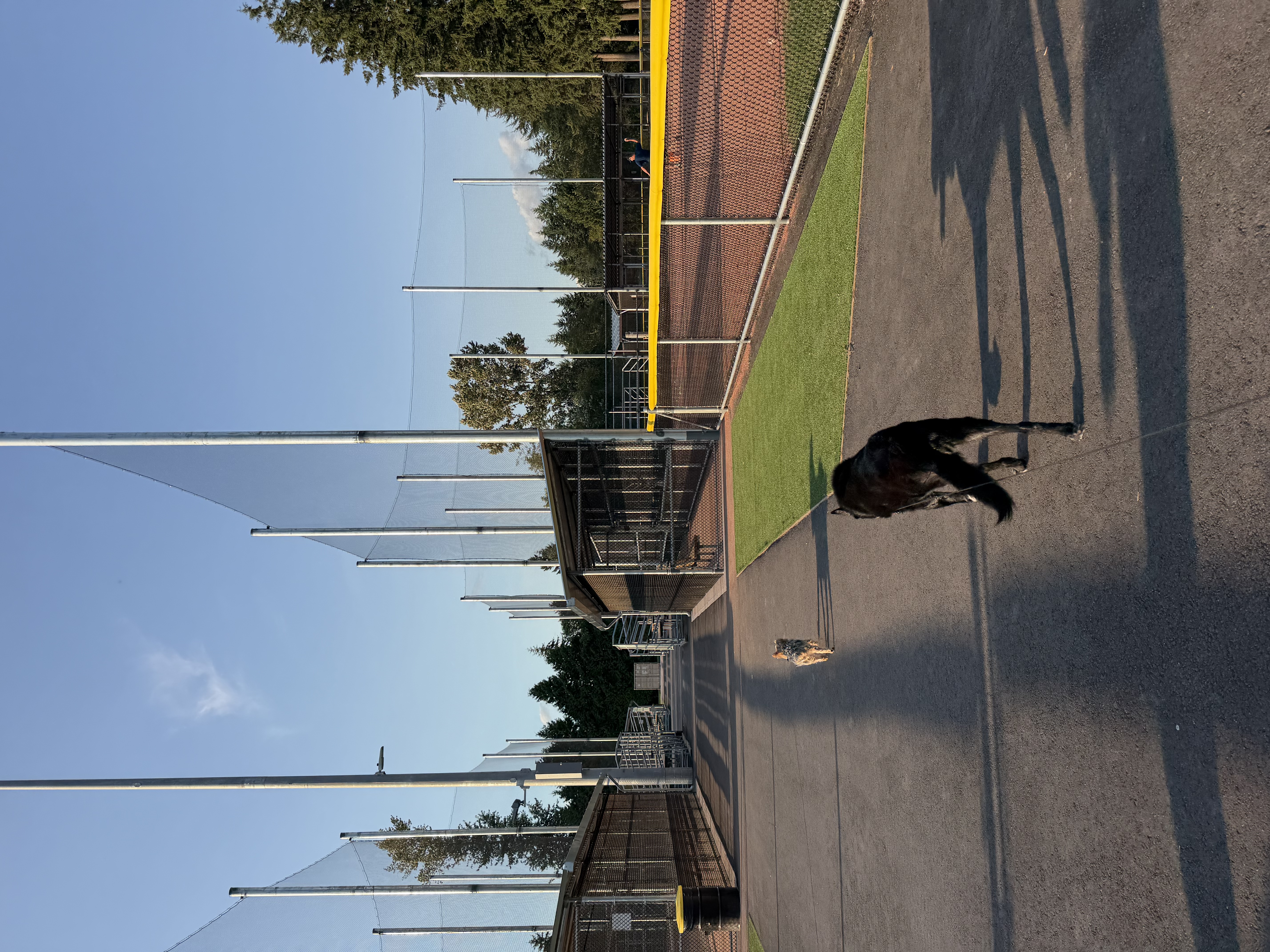 image-35