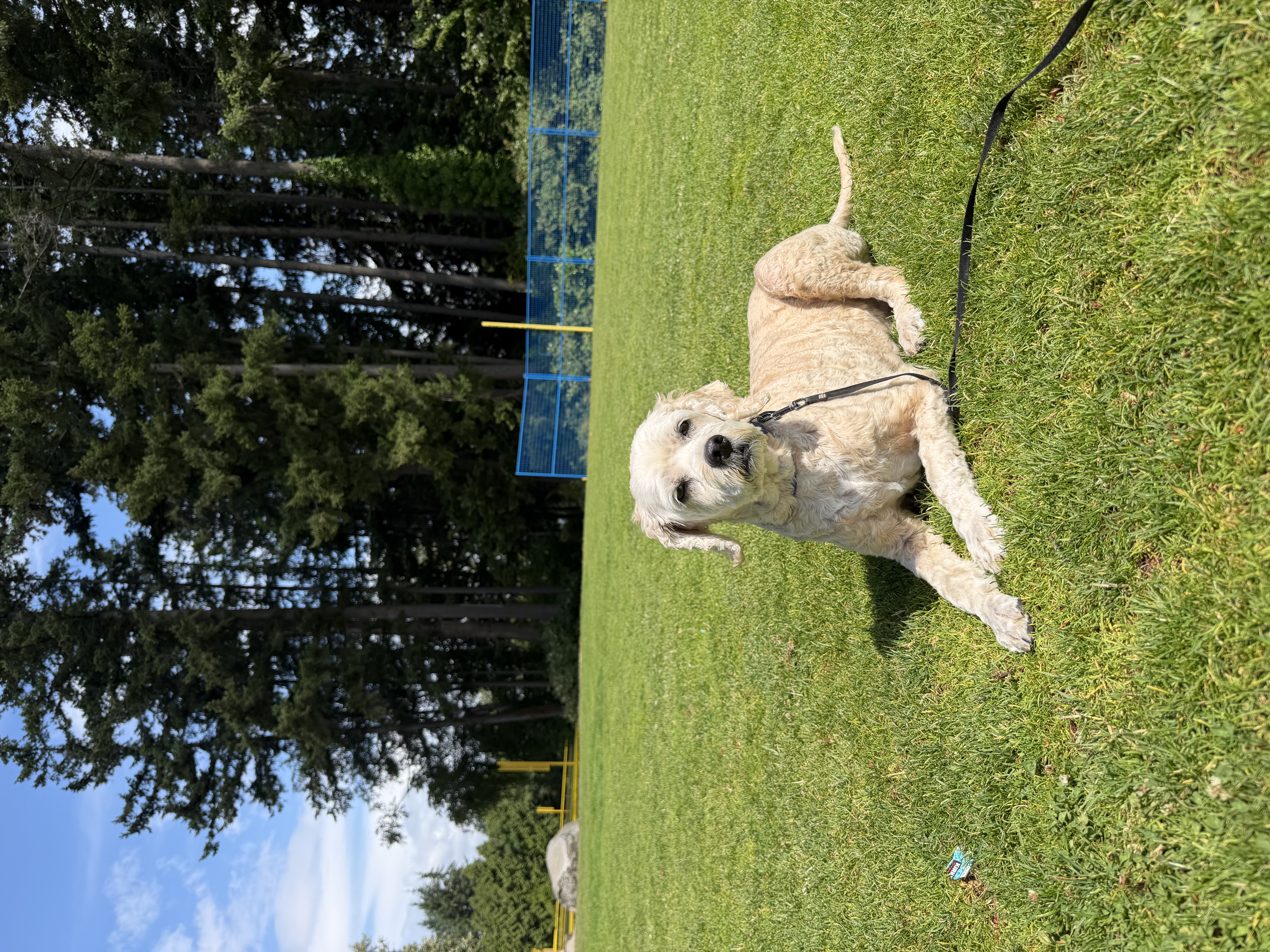 image-16