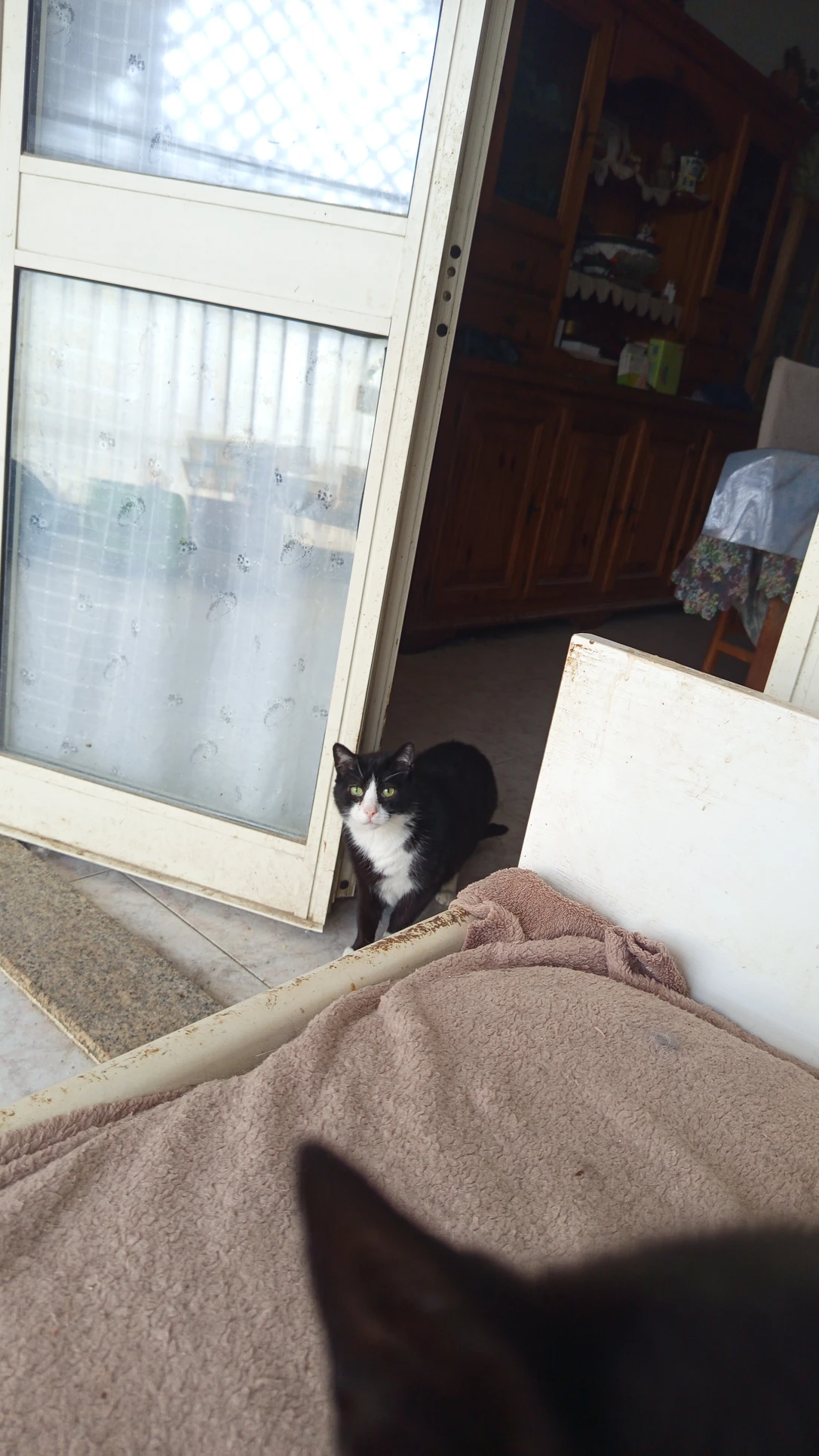 image-7