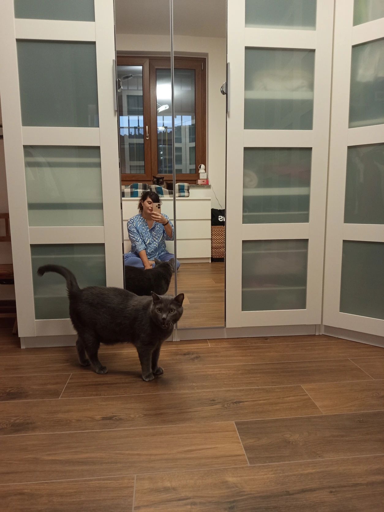 image-12