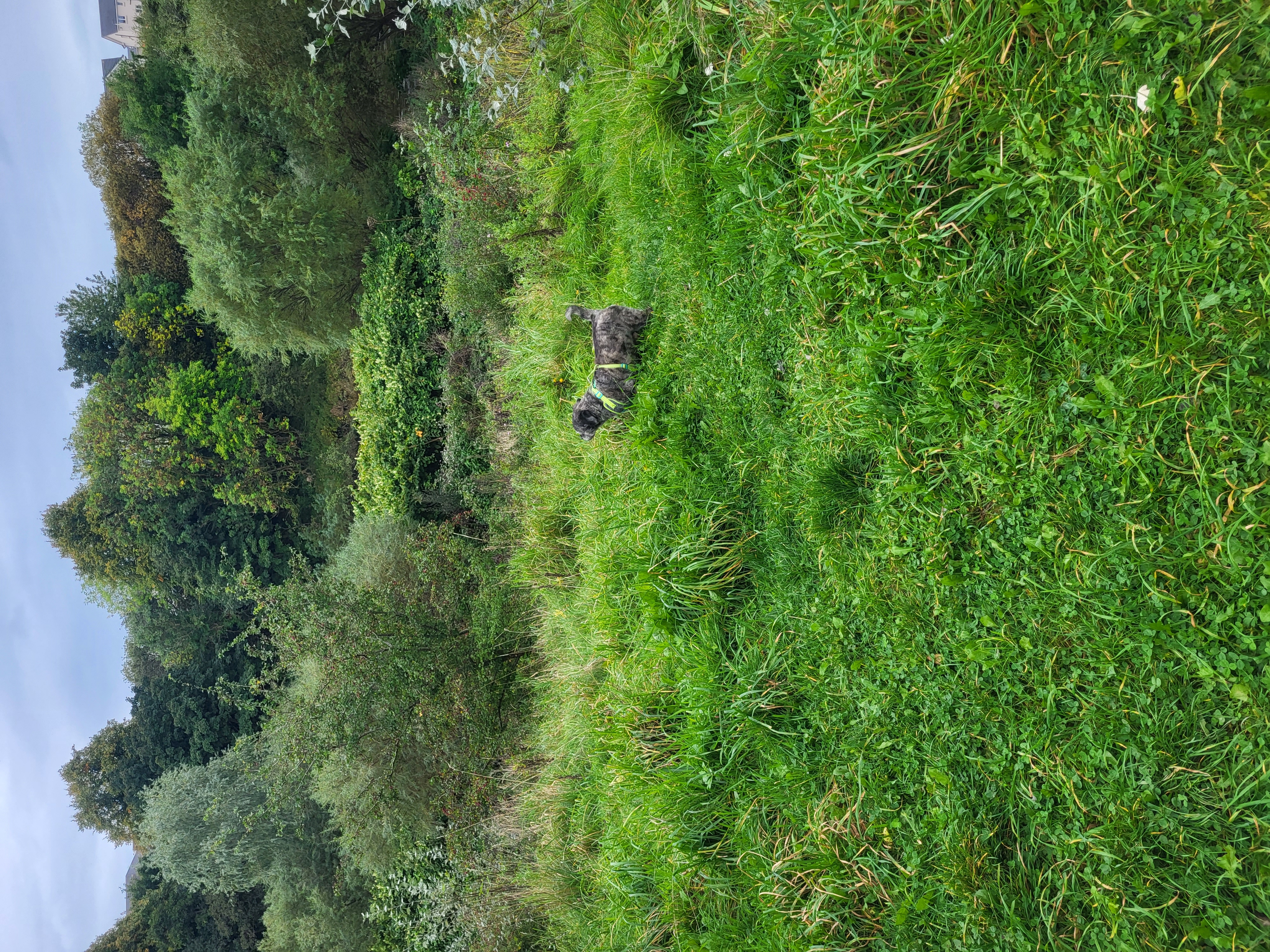 image-13