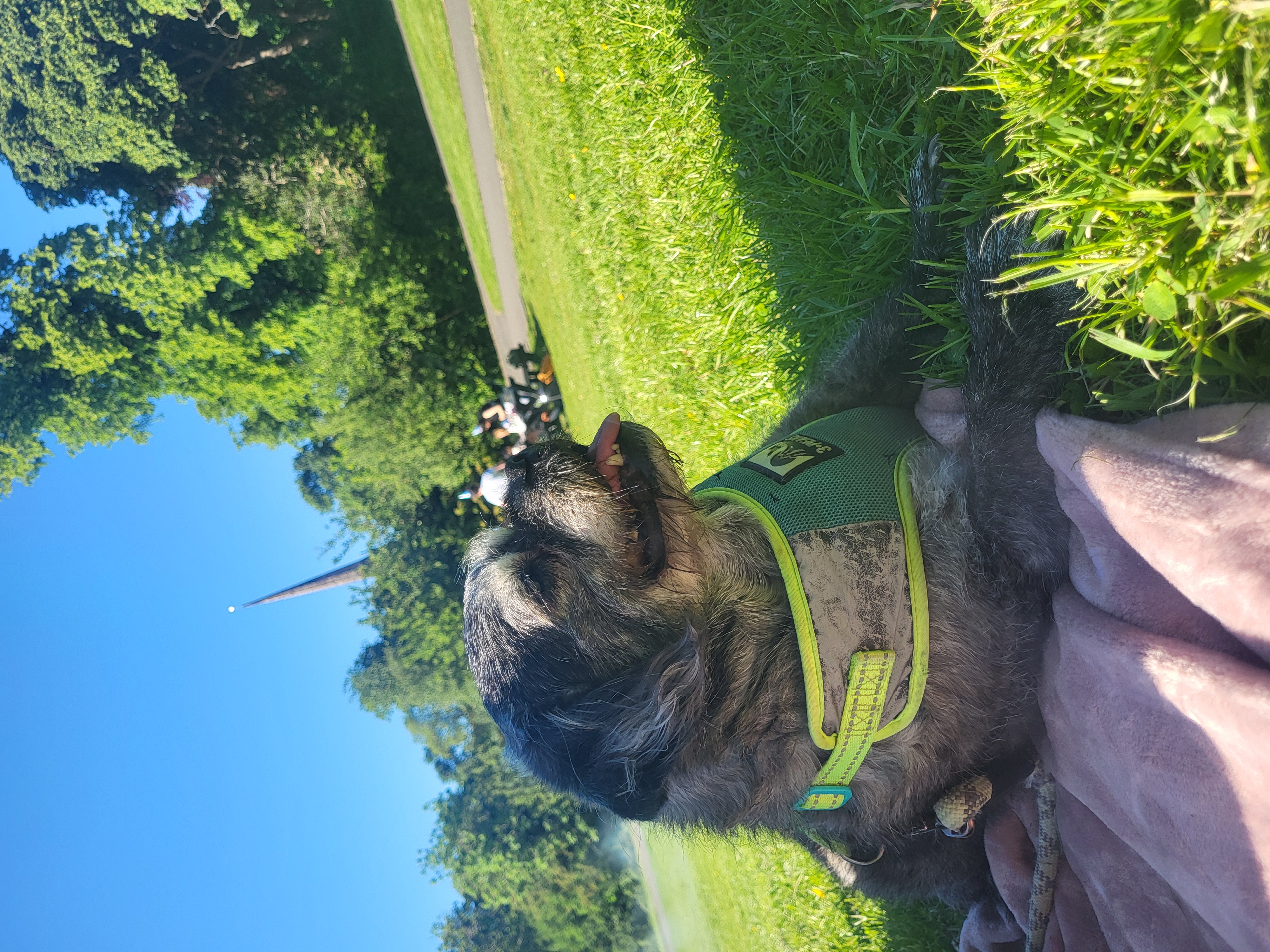 image-10