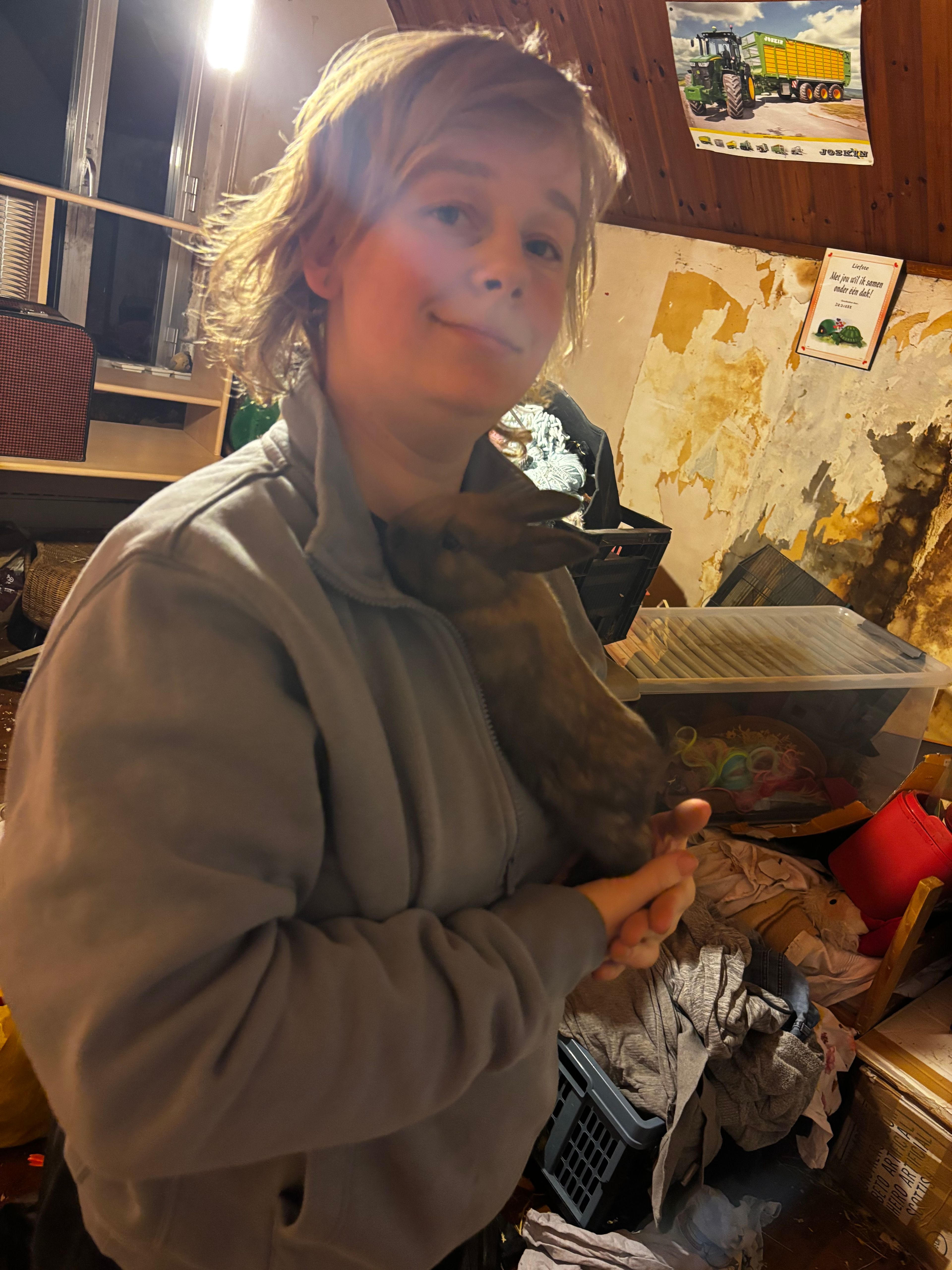 image-6
