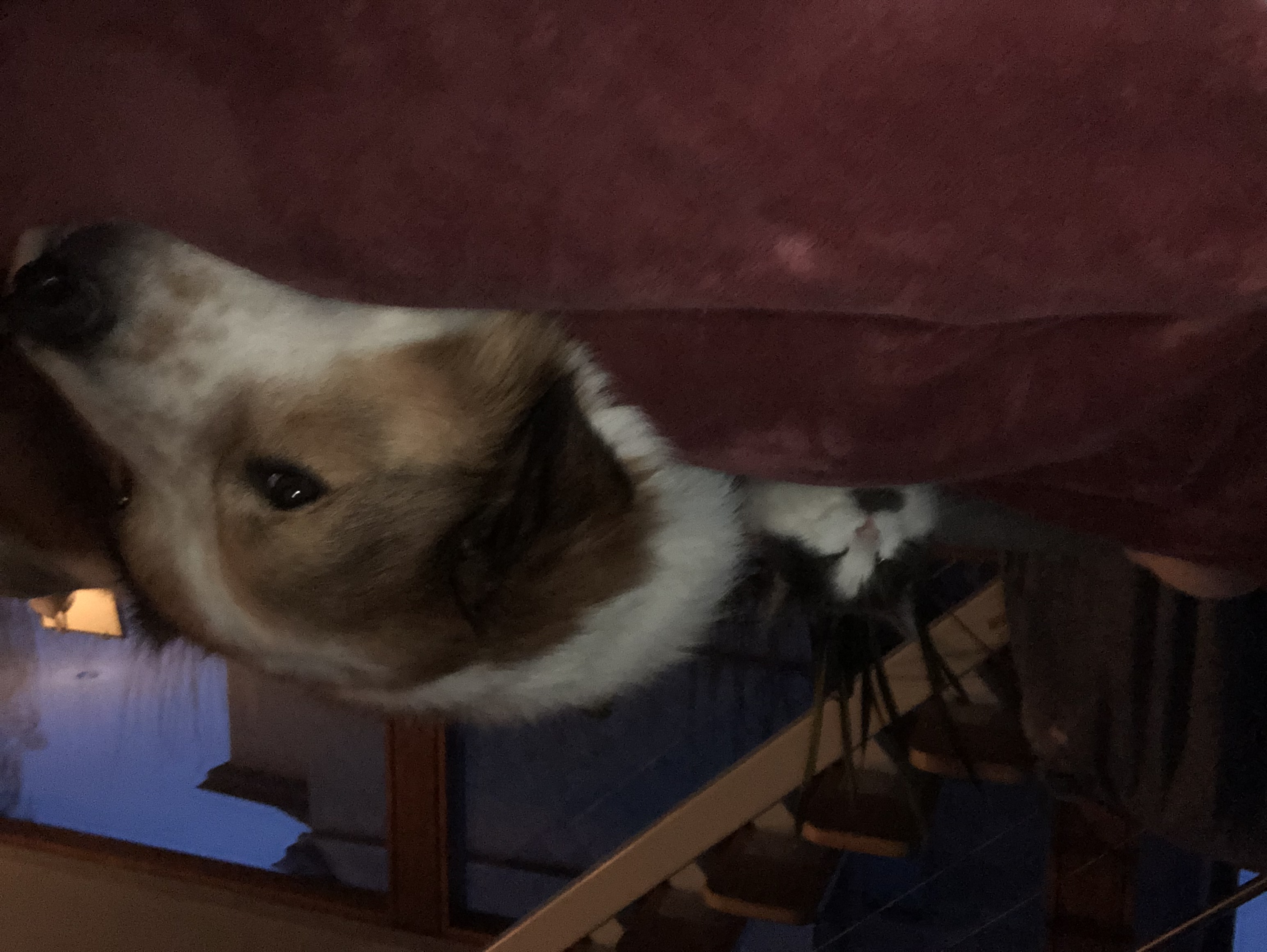image-12
