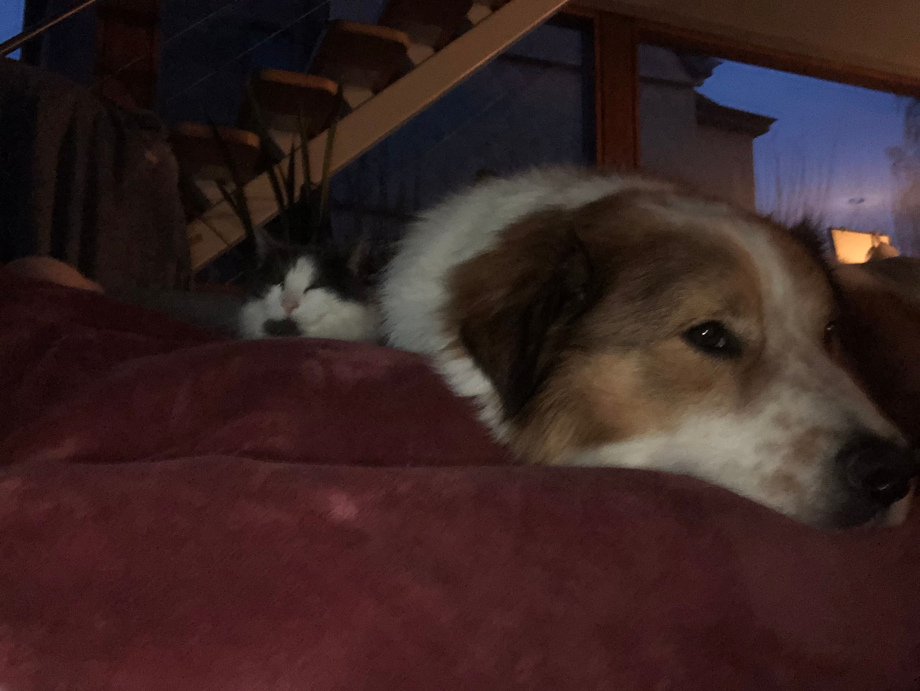 image-12
