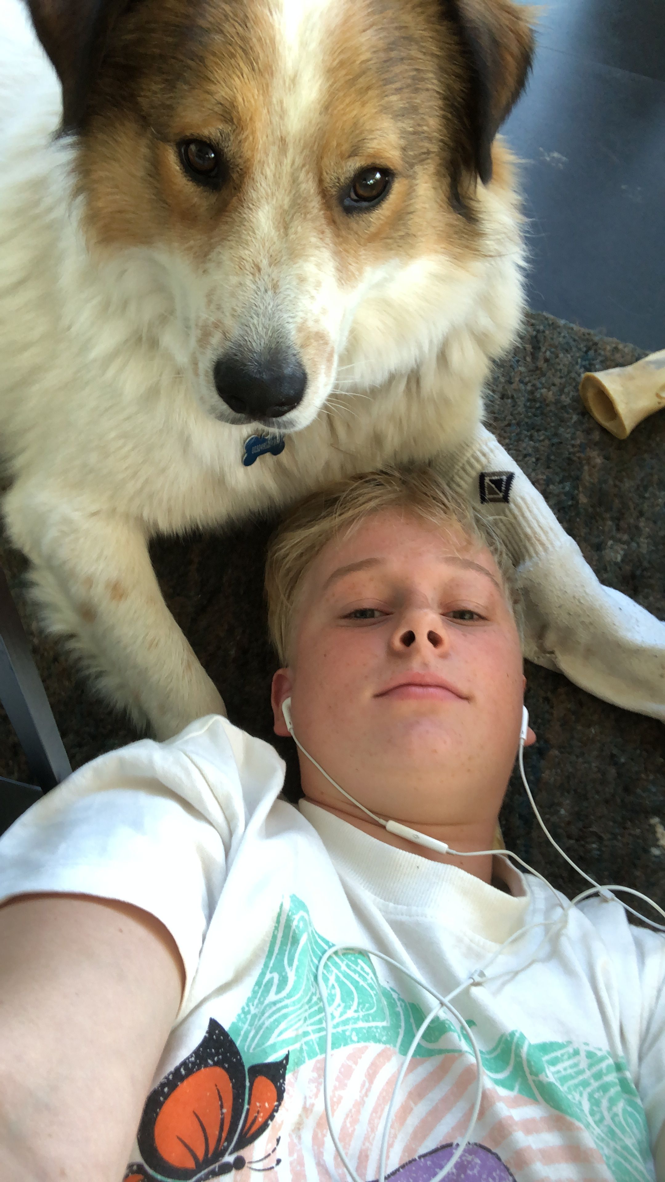 image-7