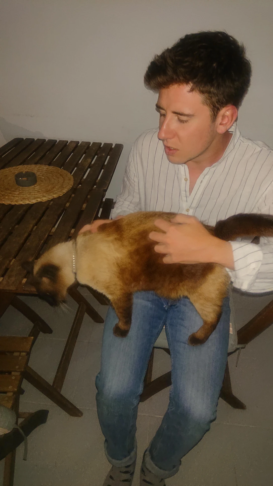 image-6