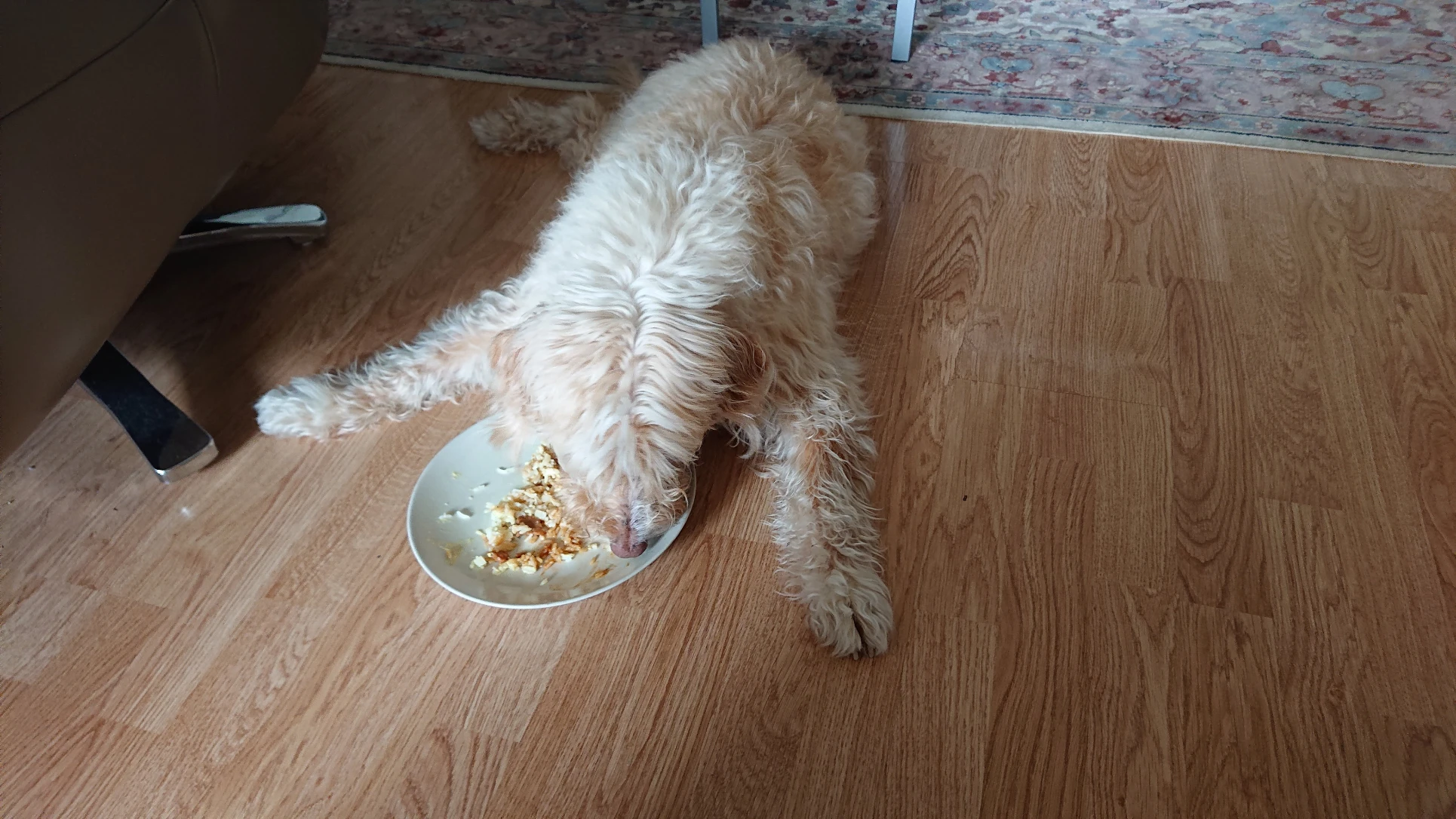 image-7
