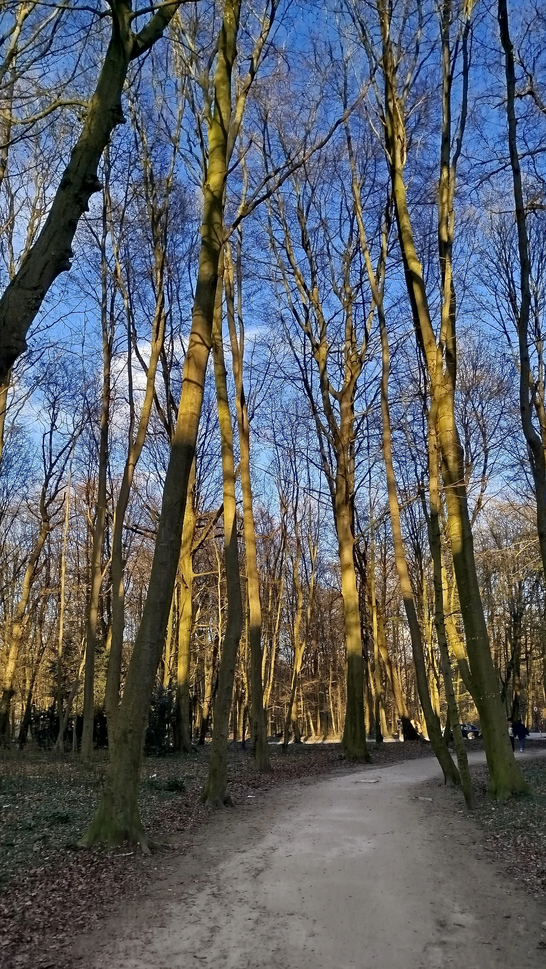 image-14