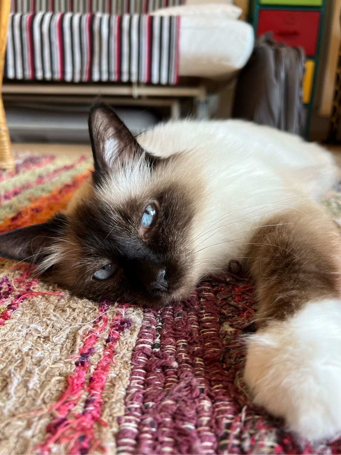 image-30