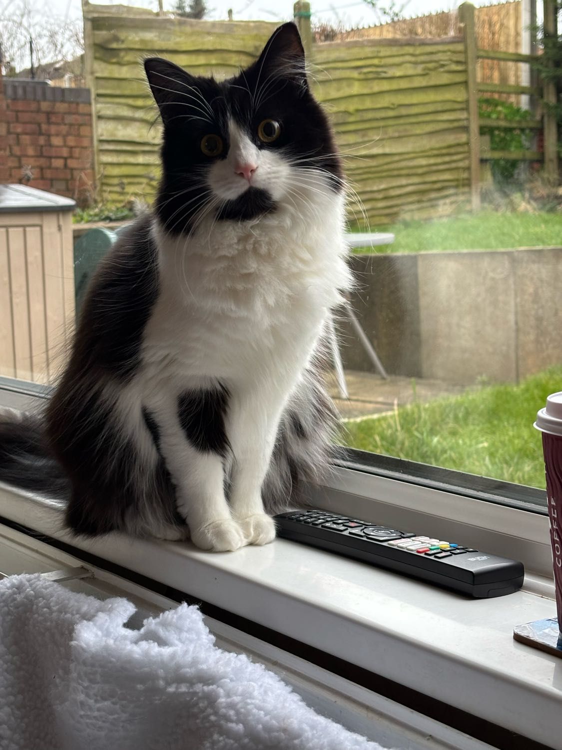 image-2