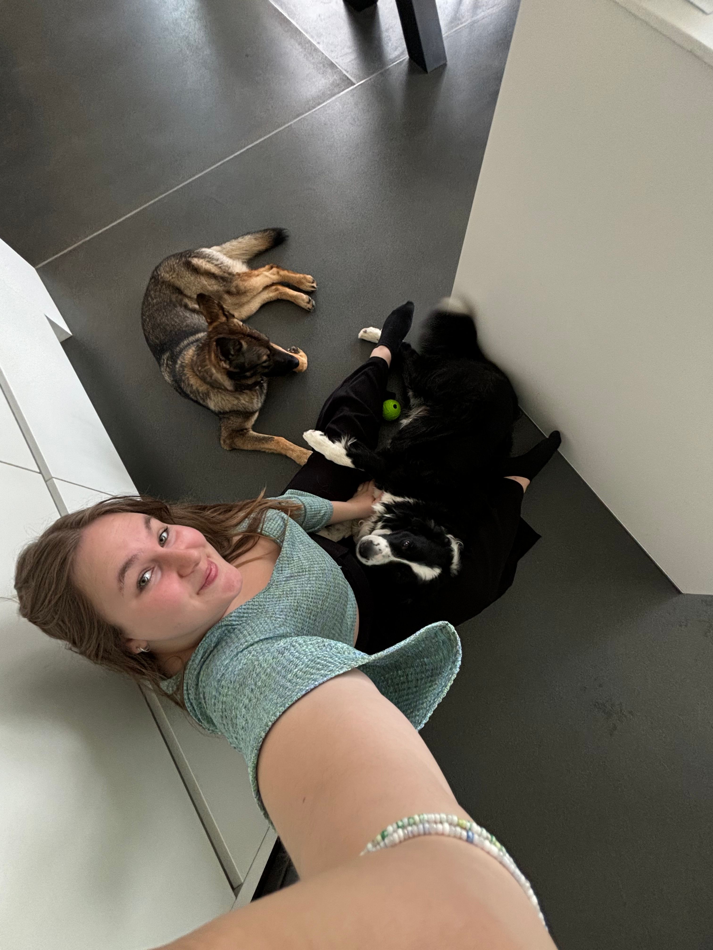 image-6