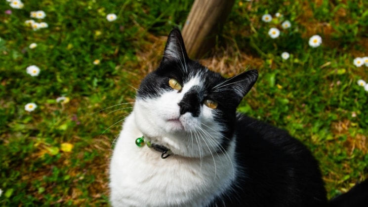 image-0
