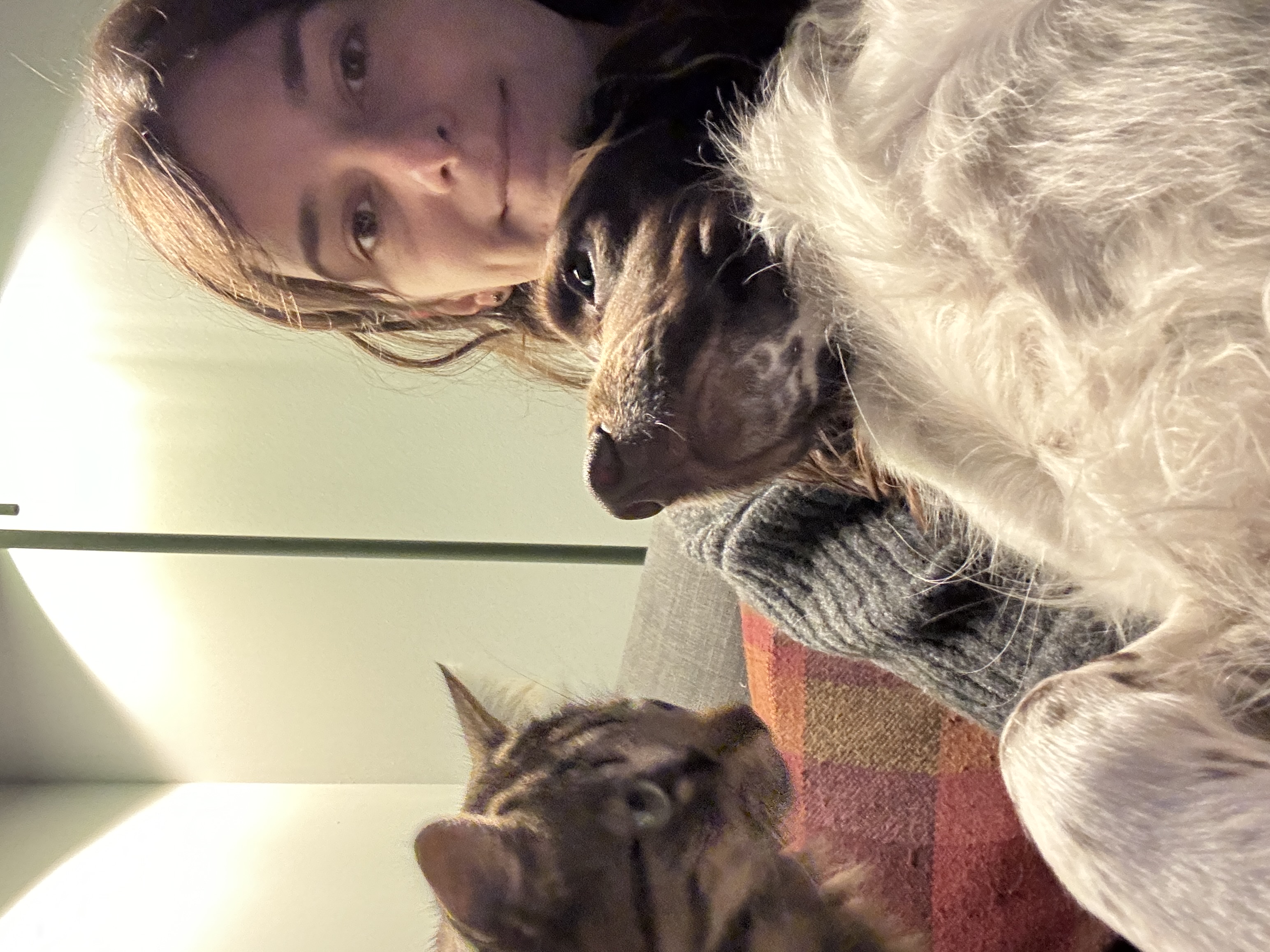 image-9