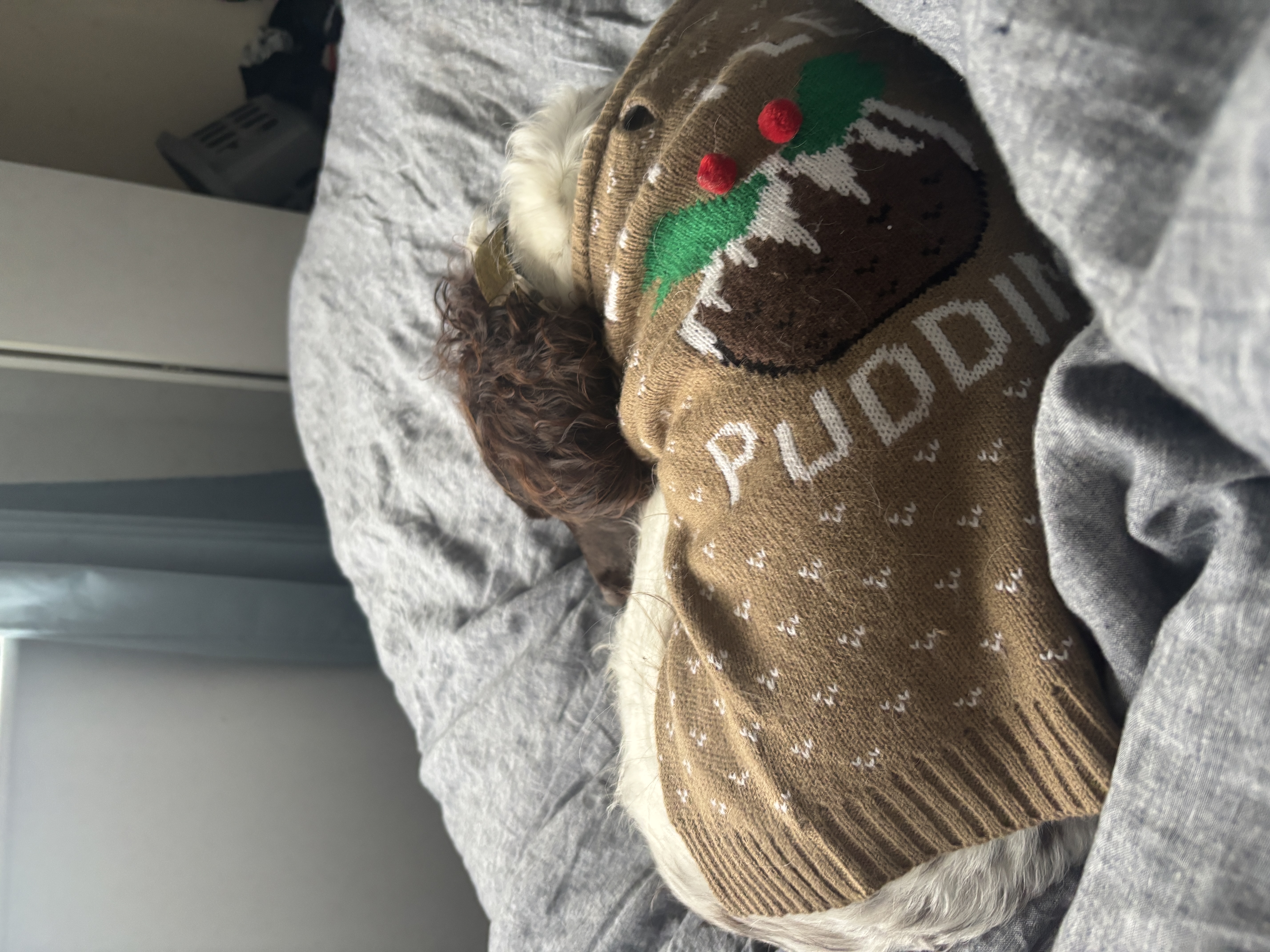 image-10
