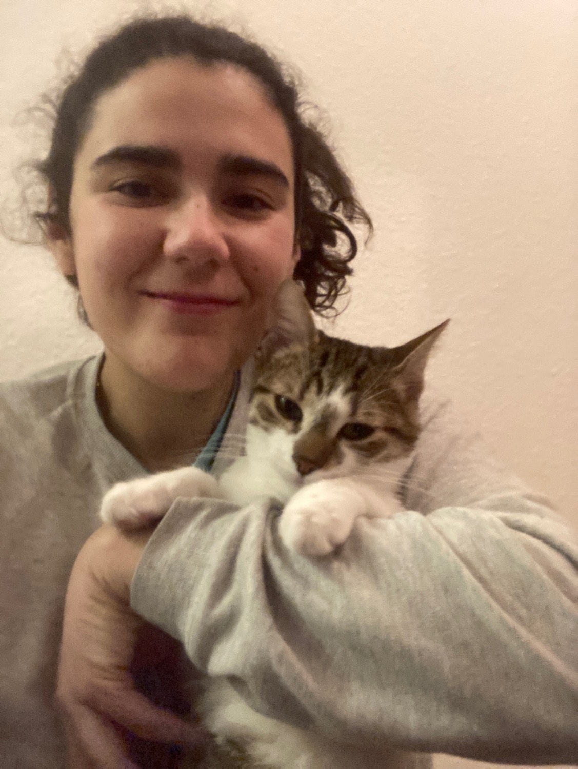 image-6