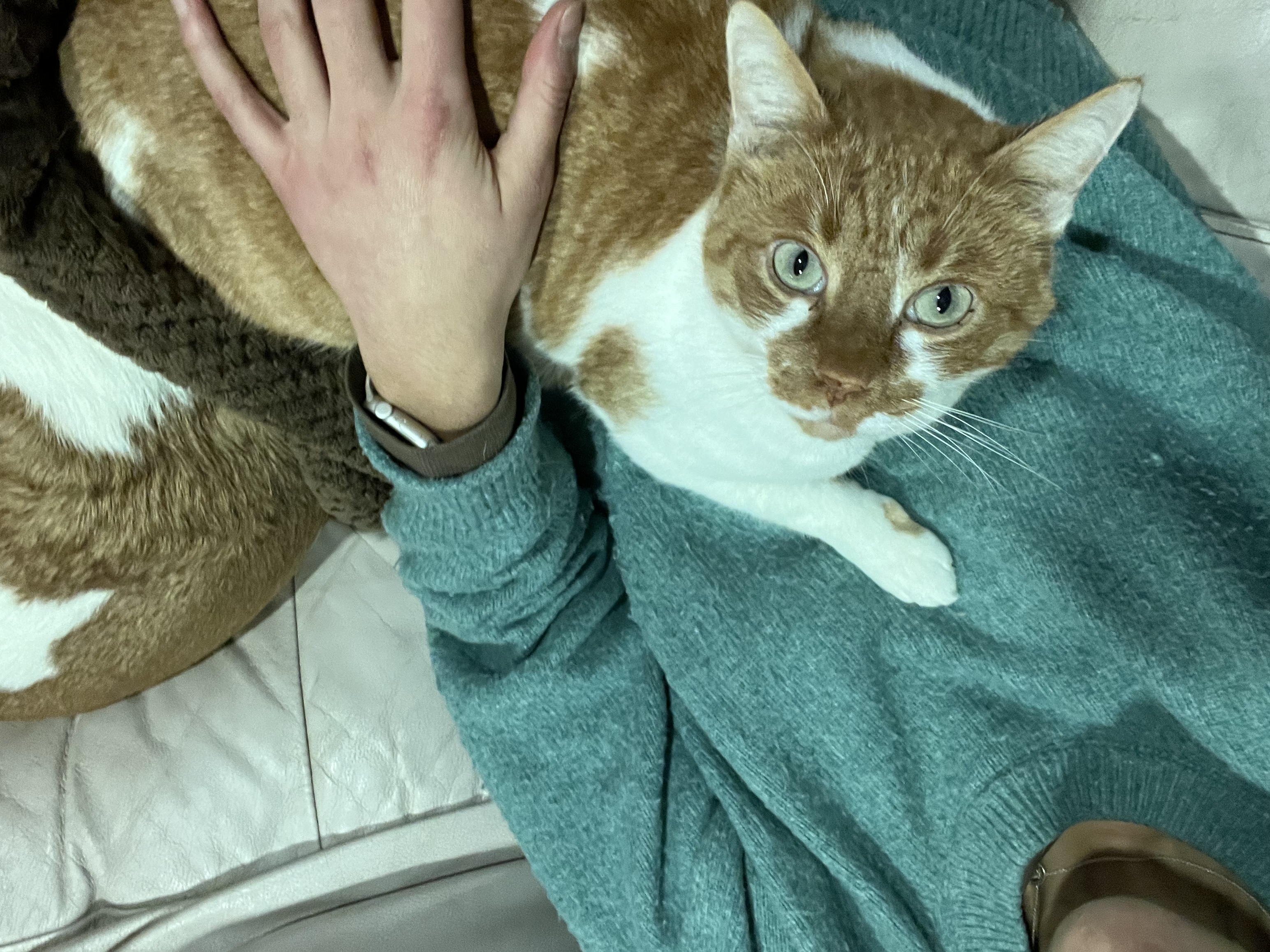 image-9