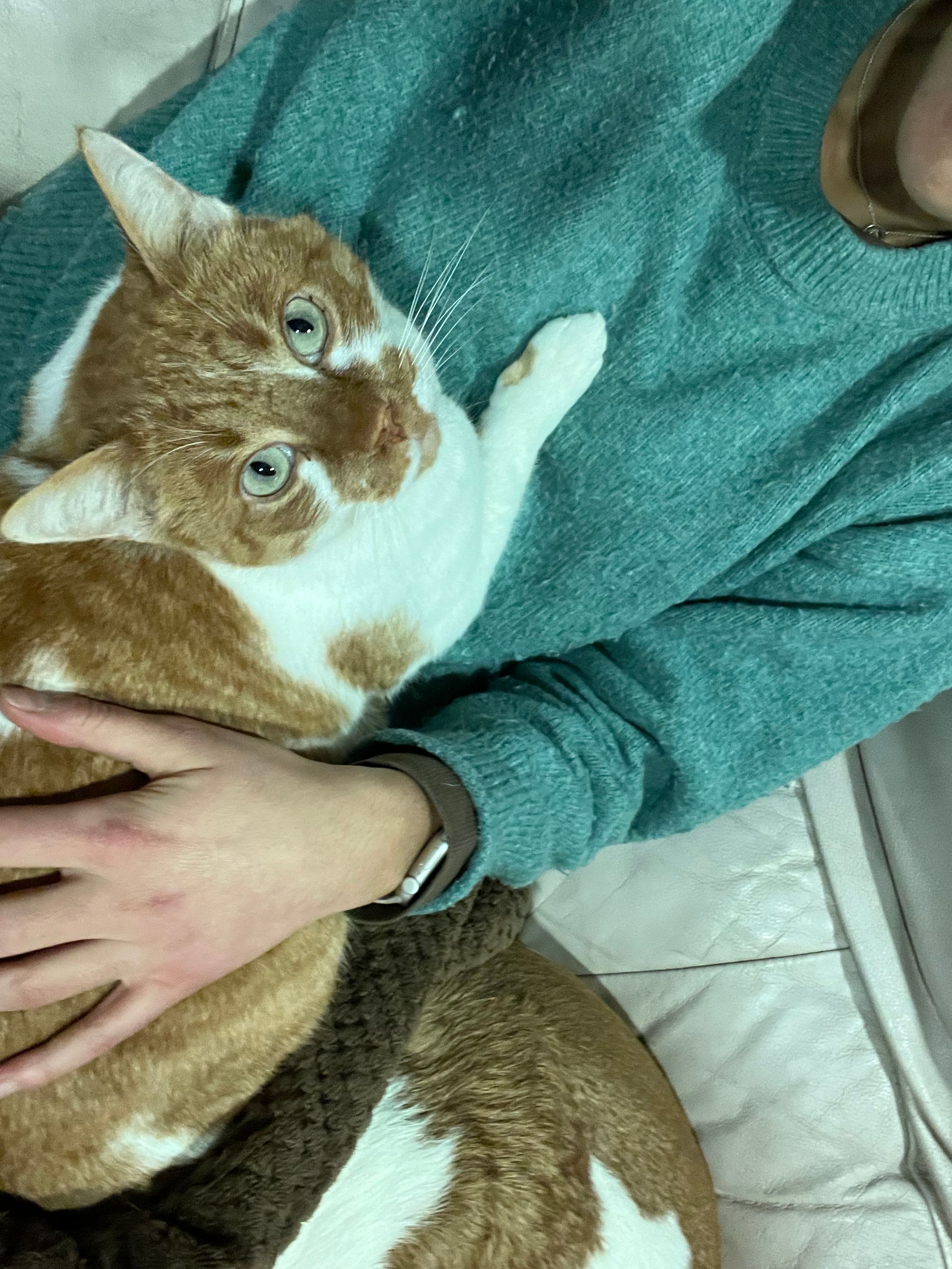 image-9