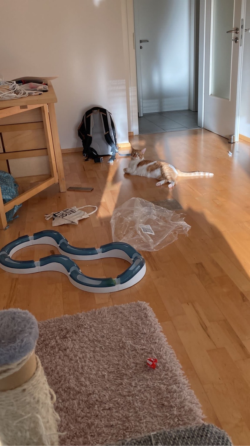image-8