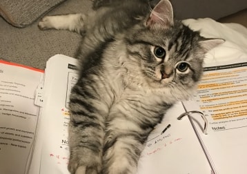 Charlie