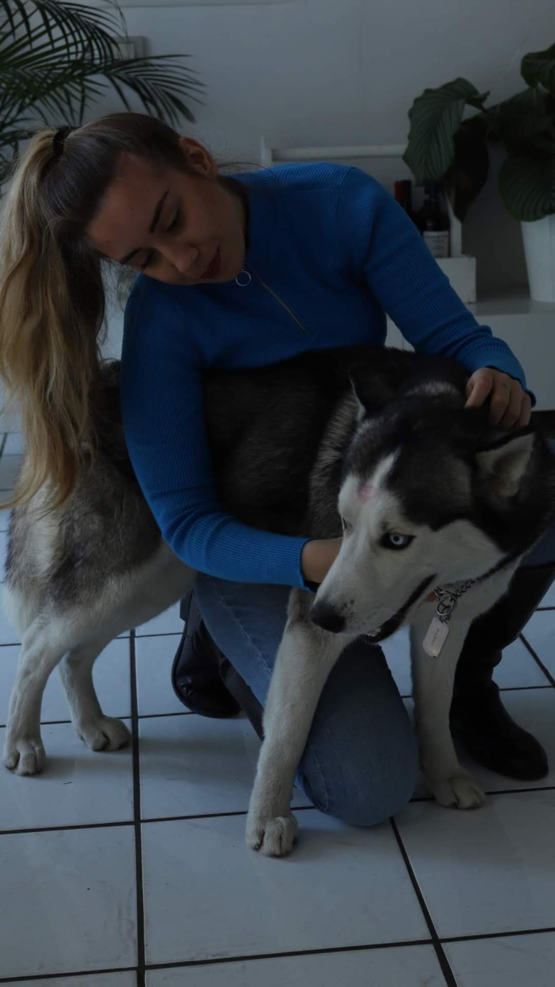 image-6