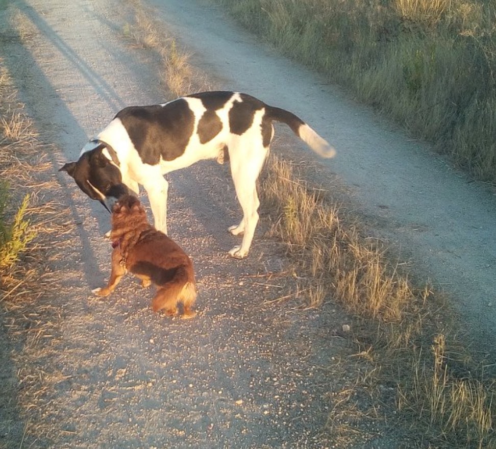 image-9