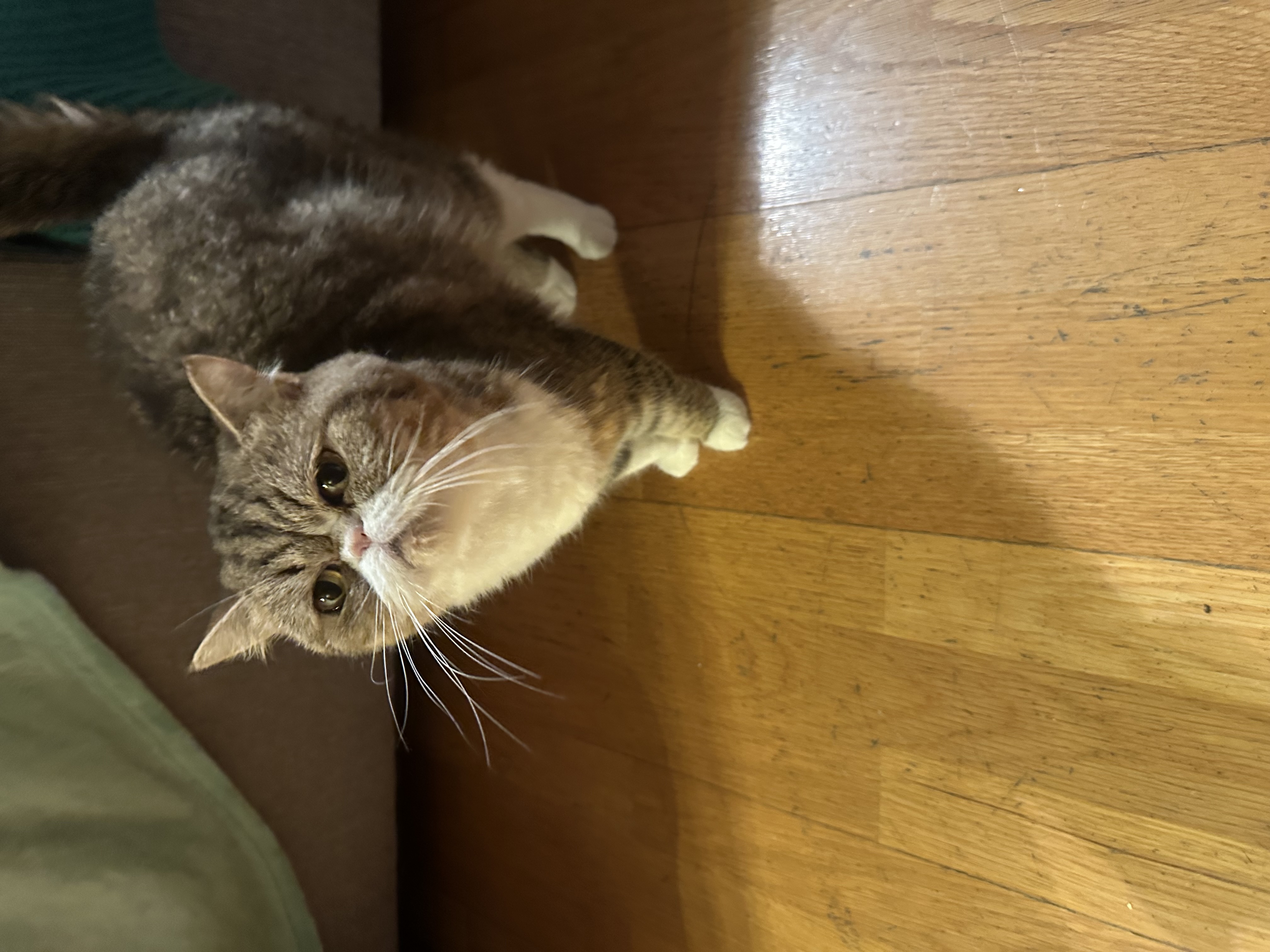 image-7