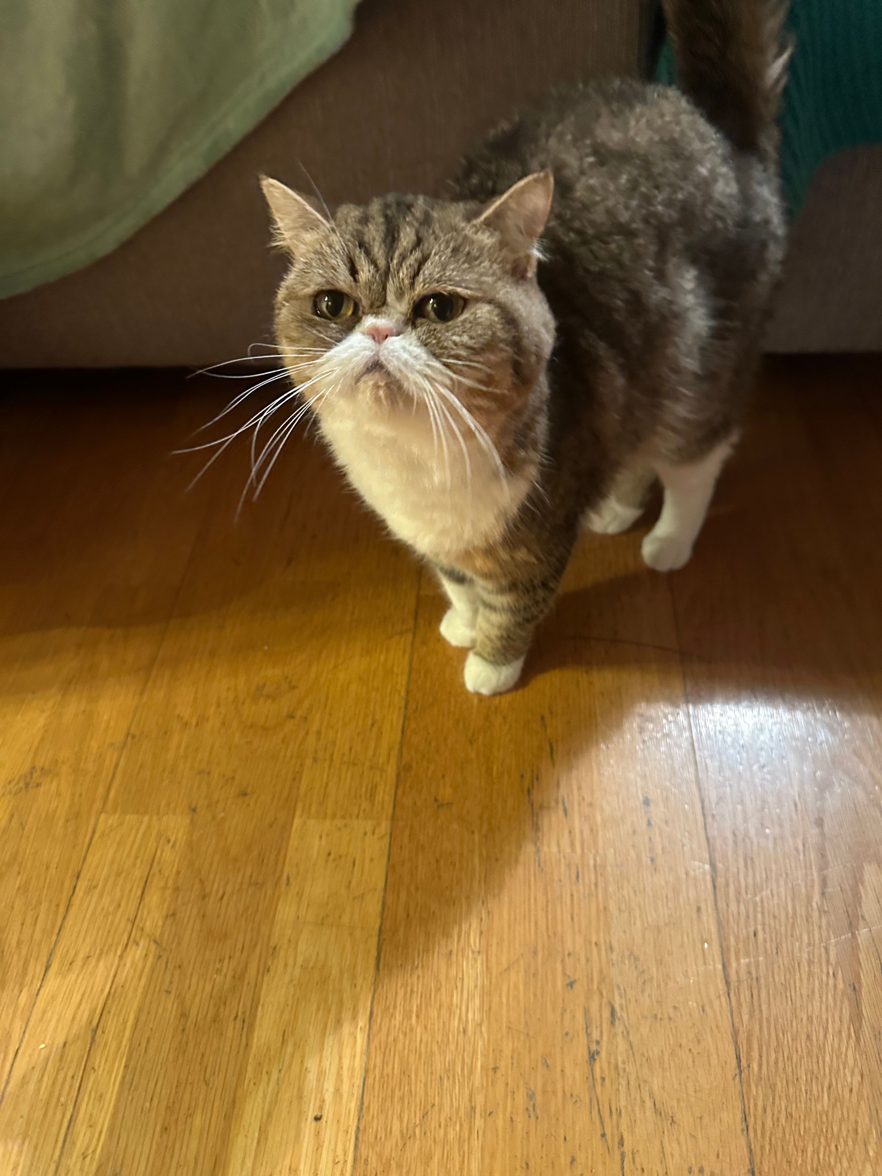 image-7